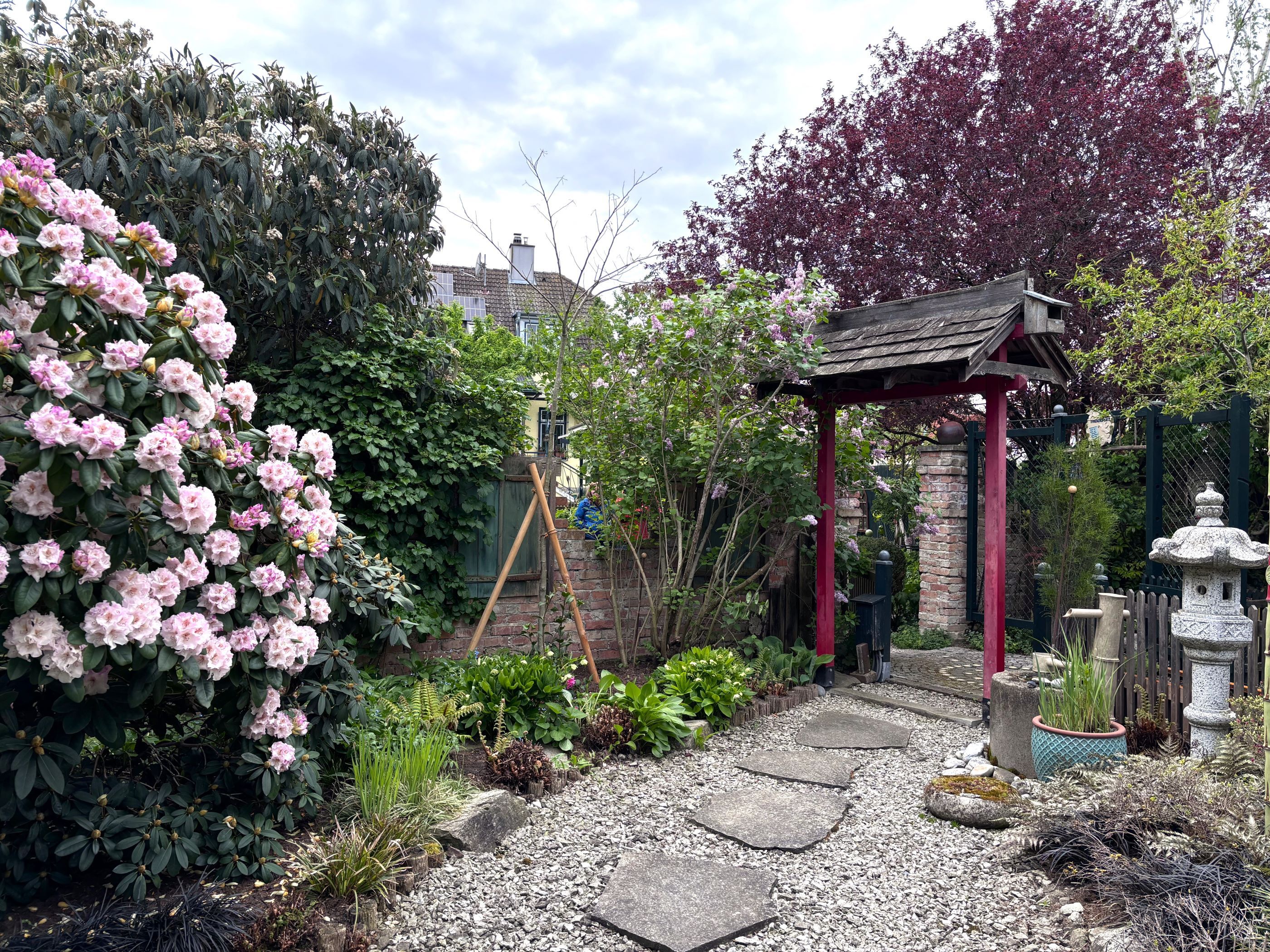 Ein gepflegter Garten mit blühenden Rhododendren, einem japanischen Torii und einem Steinlaternen-Dekor.