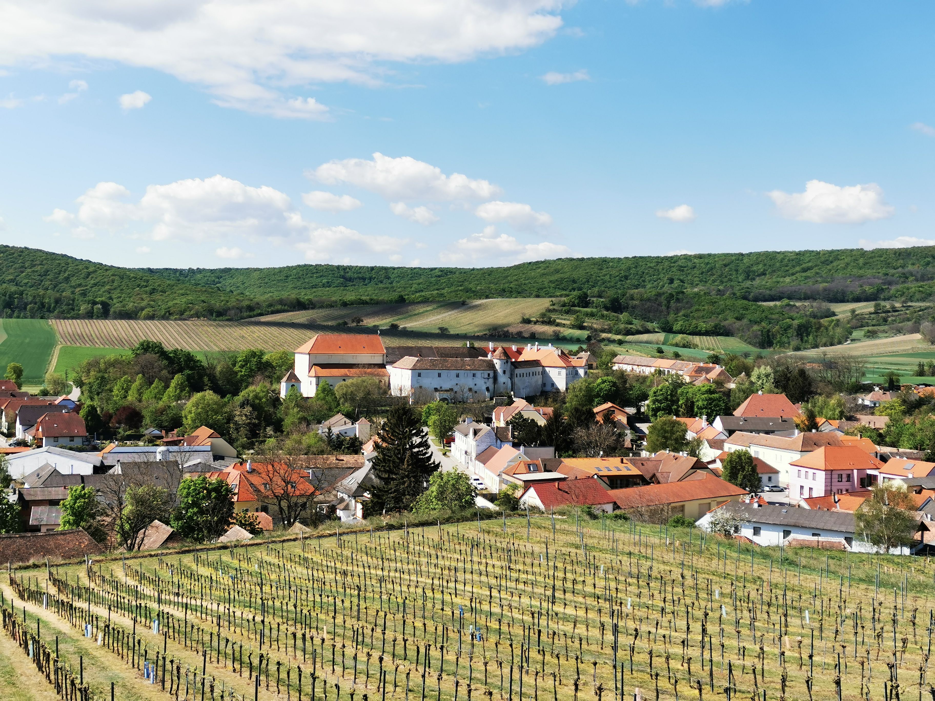 Blick auf ein Dorf mit Weinbergen im Vordergrund und Hügeln im Hintergrund.