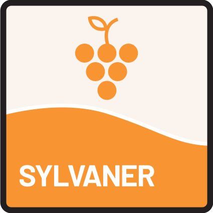 Icon Sylvaner