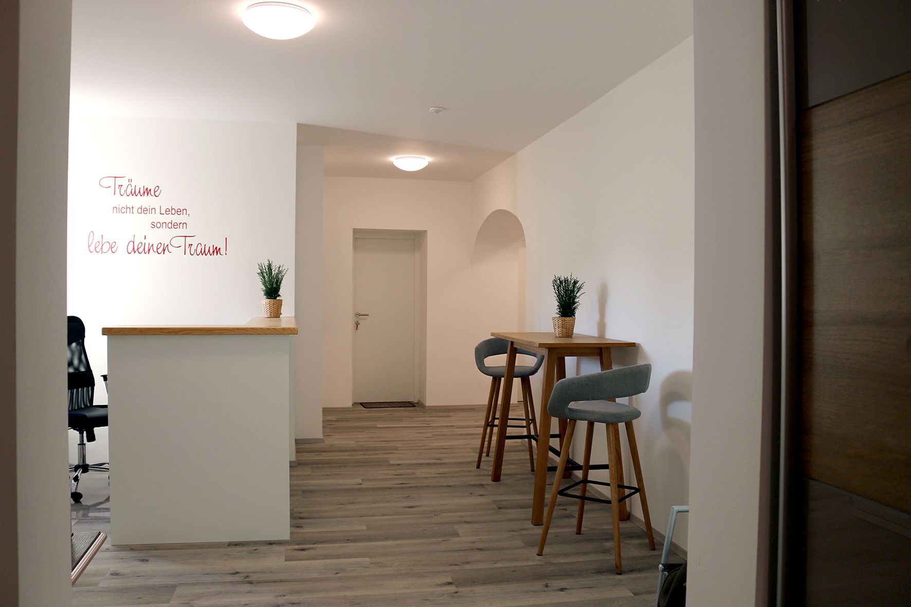 Moderner Innenraum mit Barhockern und Pflanzen auf einem Tisch.