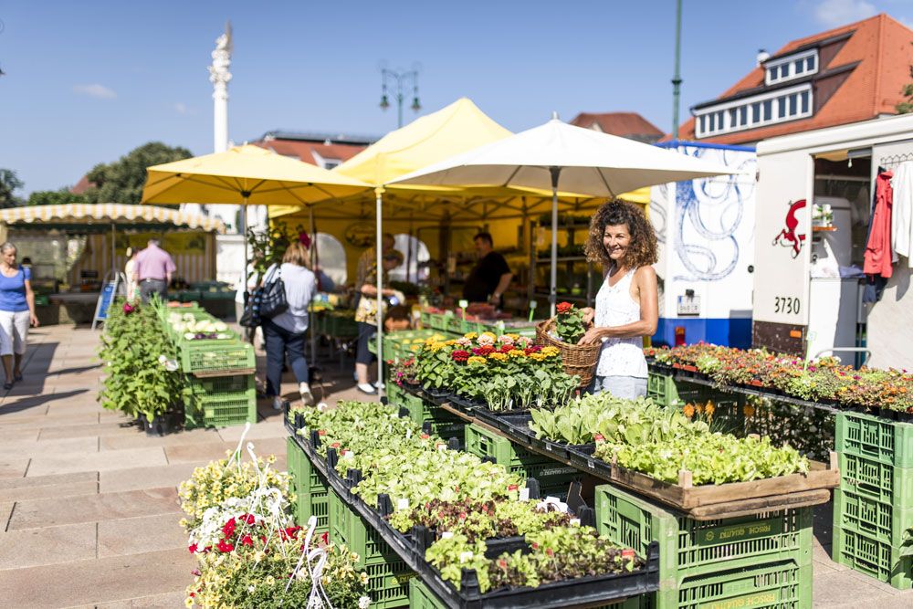Frau auf einem Markt mit Blumen und Pflanzen.