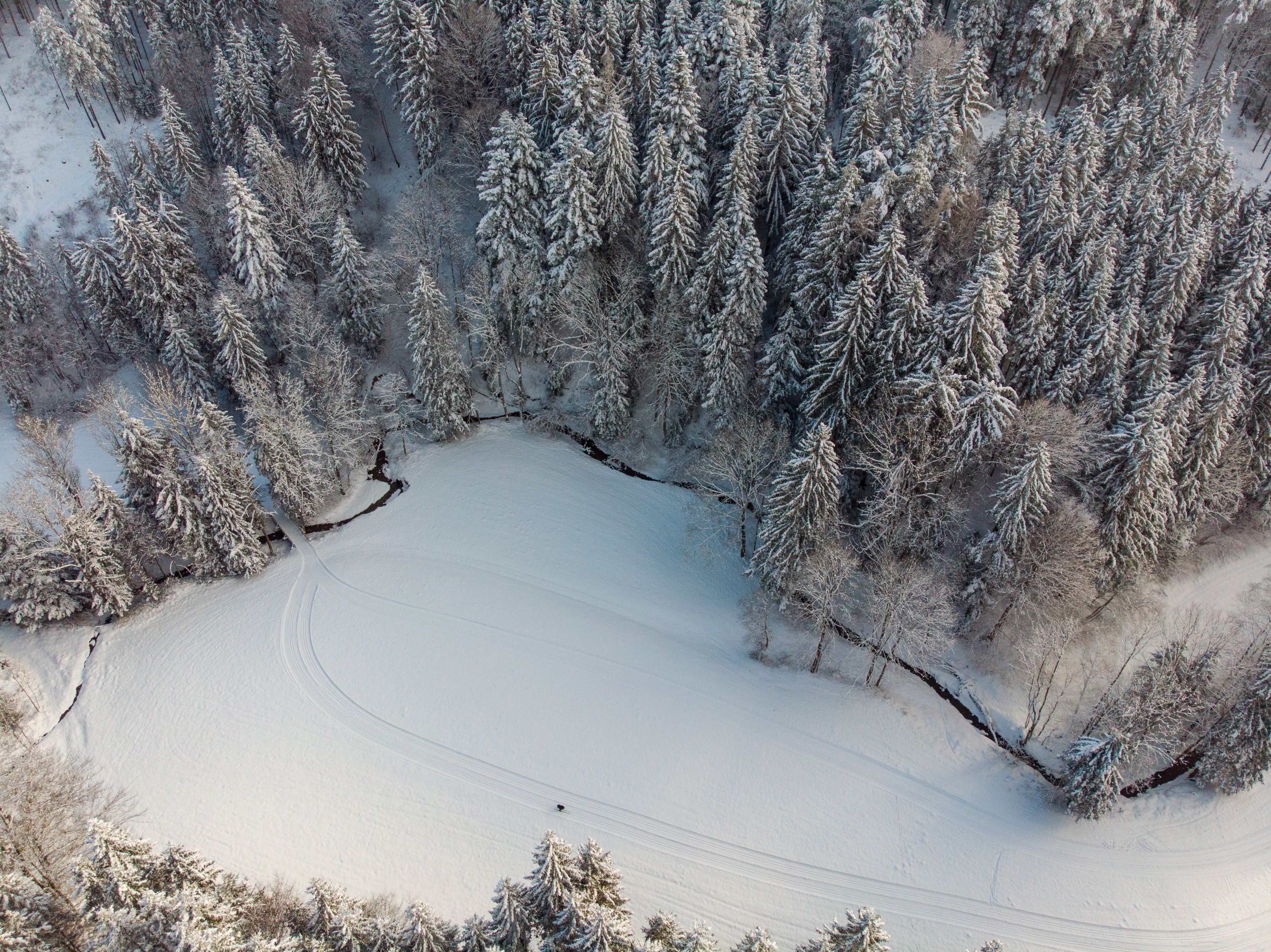 Luftaufnahme einer verschneiten Waldlandschaft mit einer Langlaufloipe, daneben schlängelt sich ein Bach durch die Landschaft