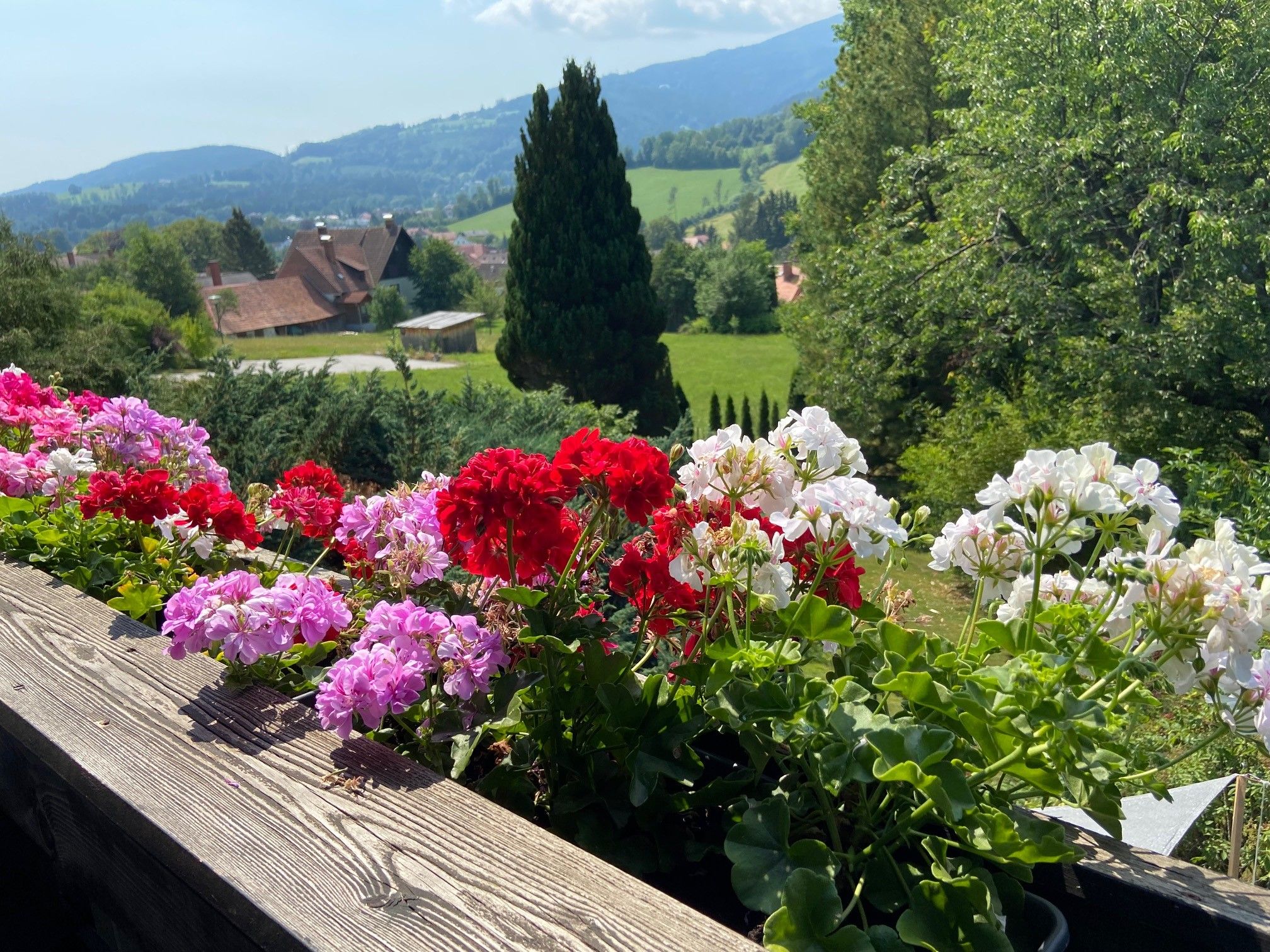 Blick vom Balkon