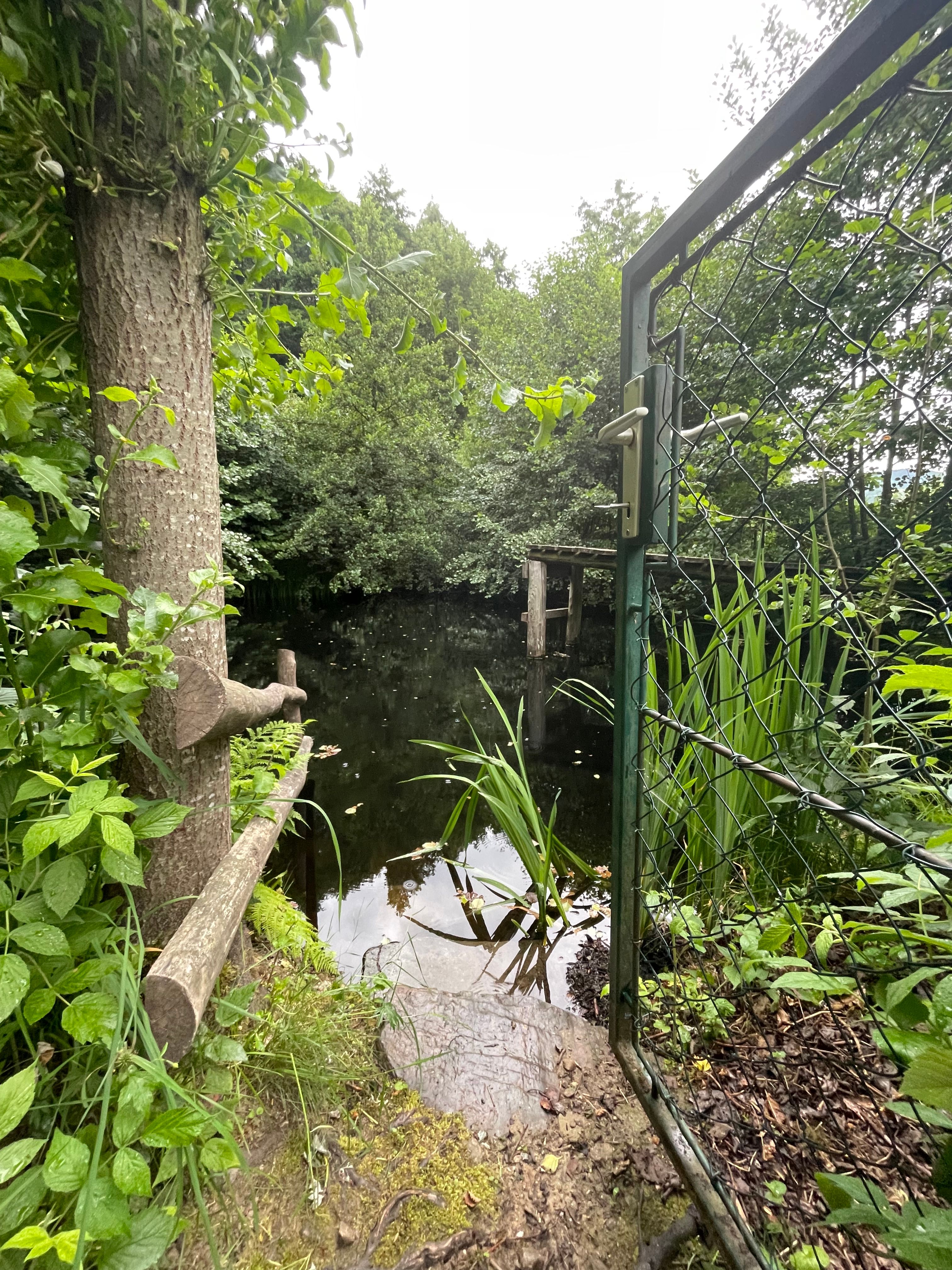 Privater Naturschwimmteich oberhalb der Ferienwohnung