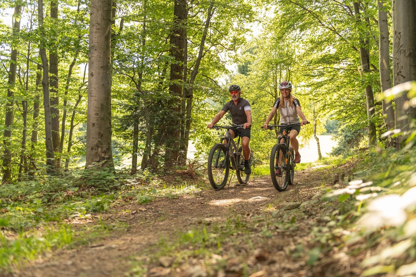 Zwei Personen fahren mit Mountainbikes auf einem Waldweg im Wienerwald.