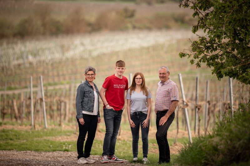 Vier Personen stehen in einem Weinberg.