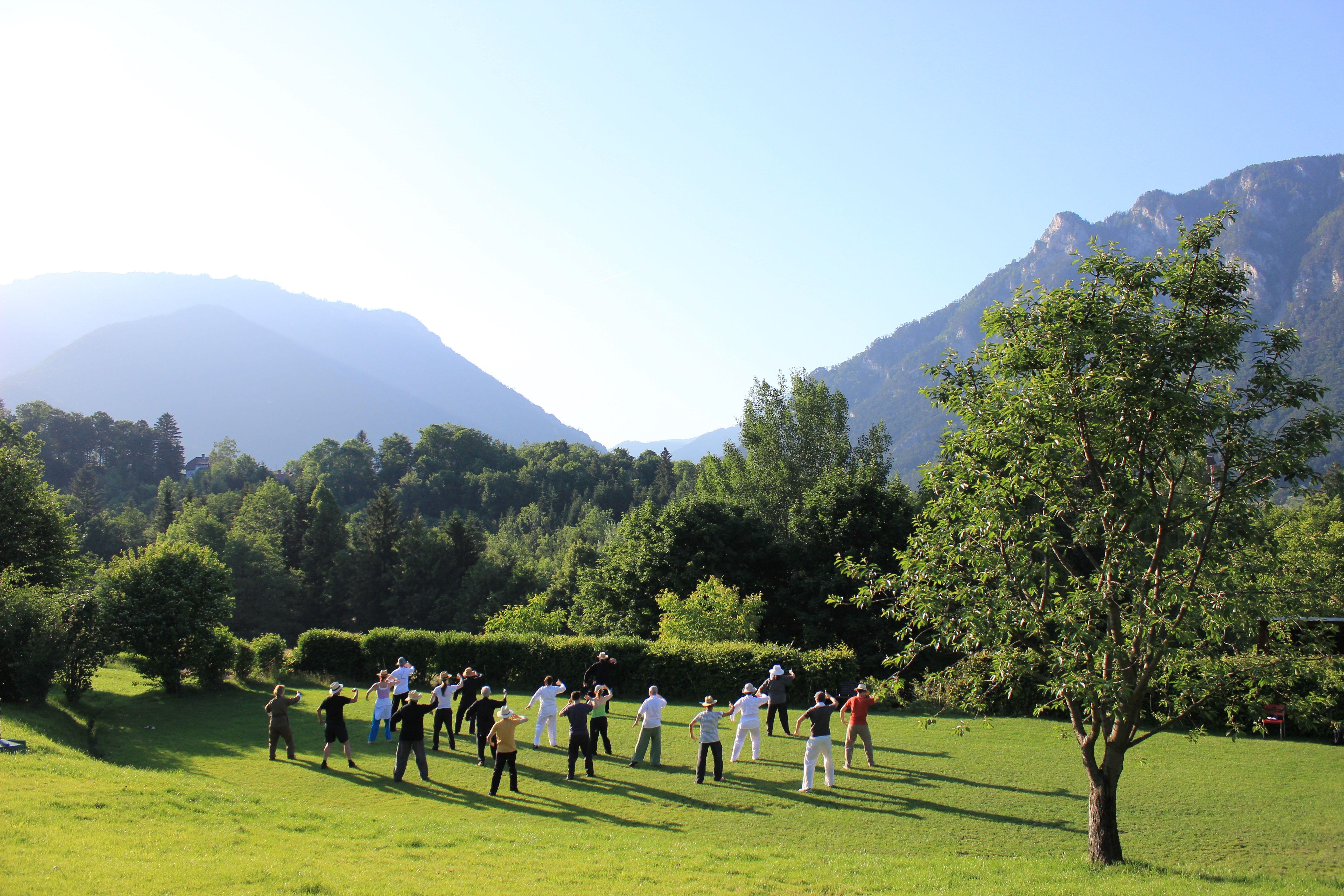 Gruppe von Menschen macht Tai Chi auf einer Wiese vor Bergkulisse.