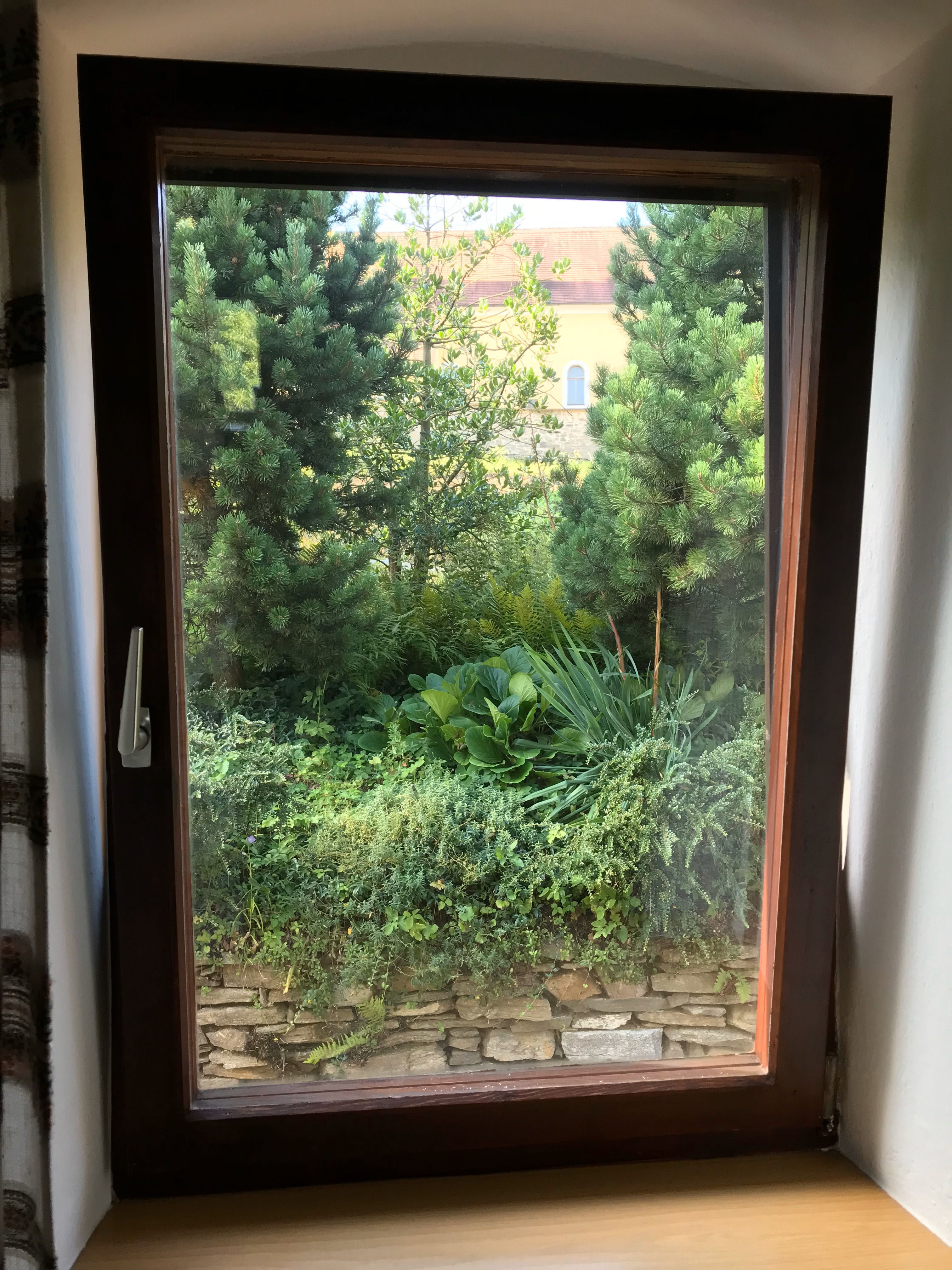 Blick aus dem Stubenfenster 