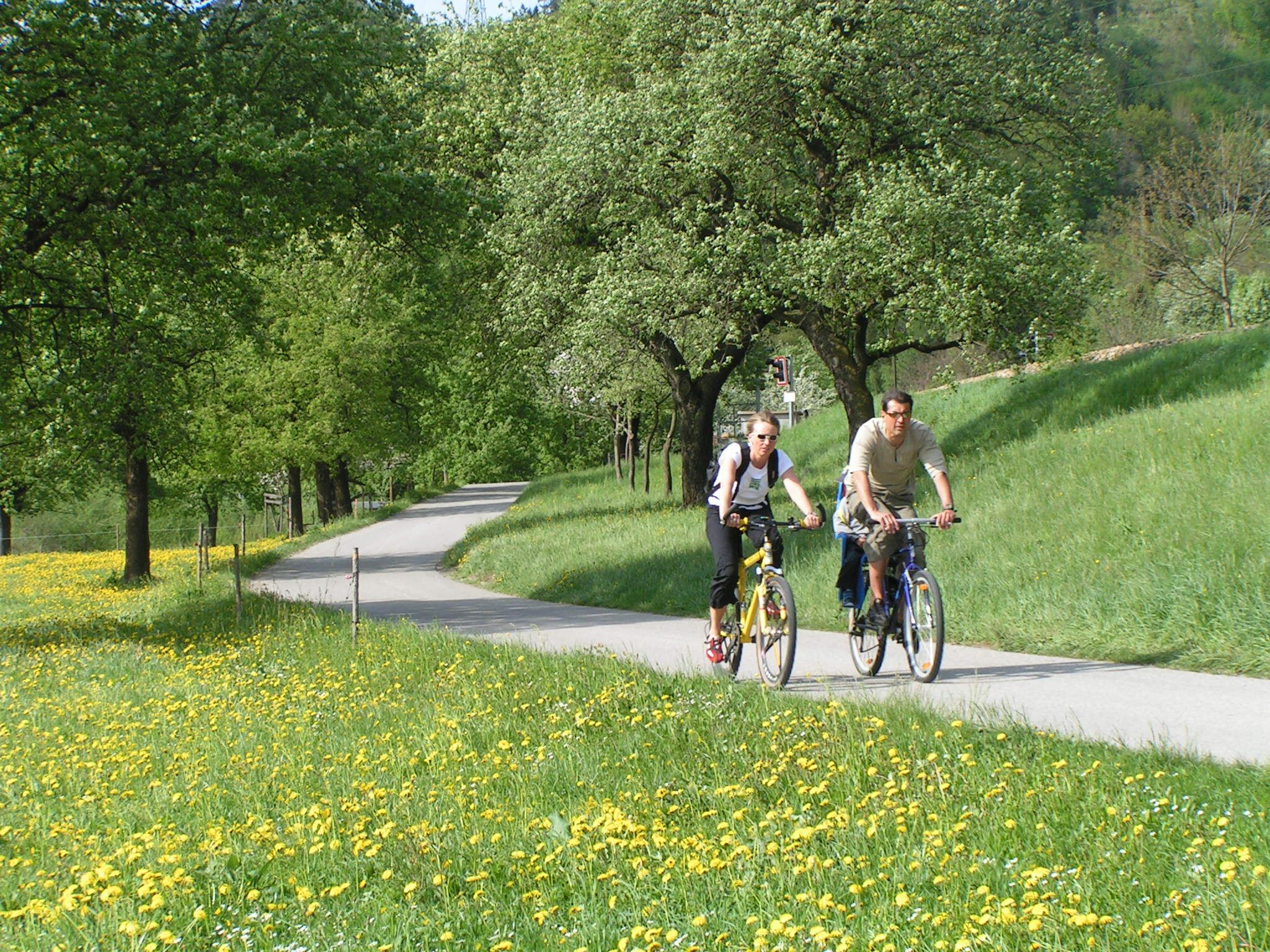 Zwei Radfahrer auf einem Weg im Grünen, umgeben von blühenden Wiesen und Bäumen.