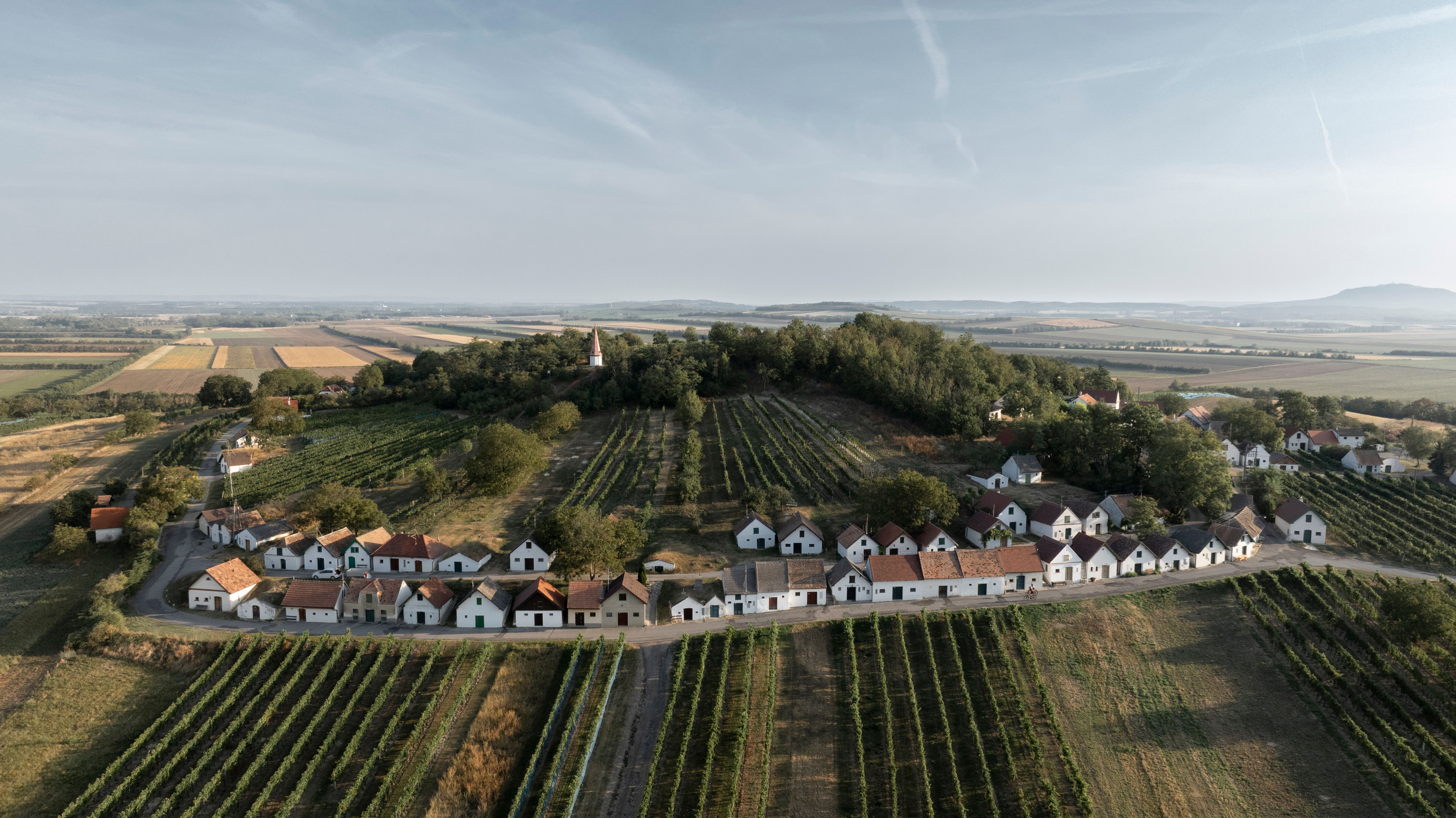 Luftaufnahme der Kellergasse Galgenberg in Wildendürnbach, umgeben von Weinbergen bei Sonnenuntergang.