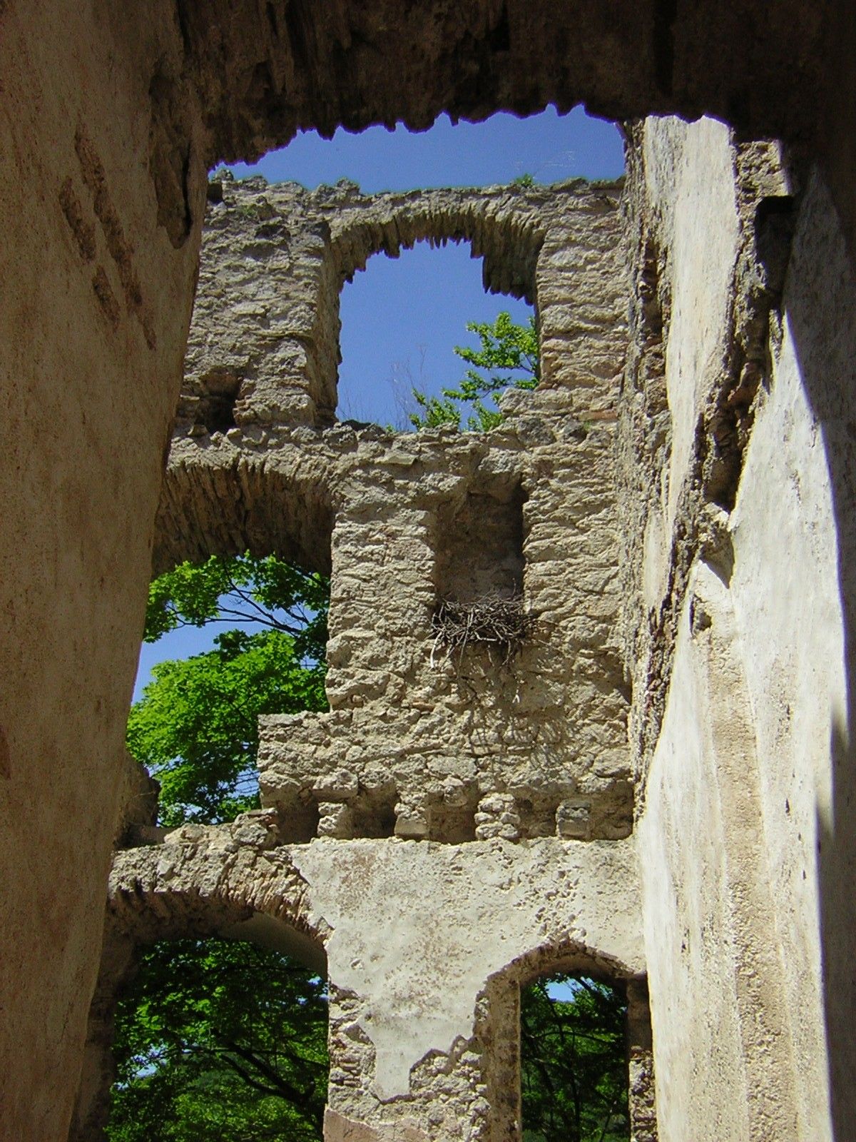 Ruinenmauer mit Fensteröffnungen und Vogelnest, umgeben von Bäumen.