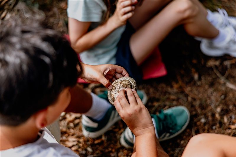 Kinder betrachten einen Pilz im Wald.