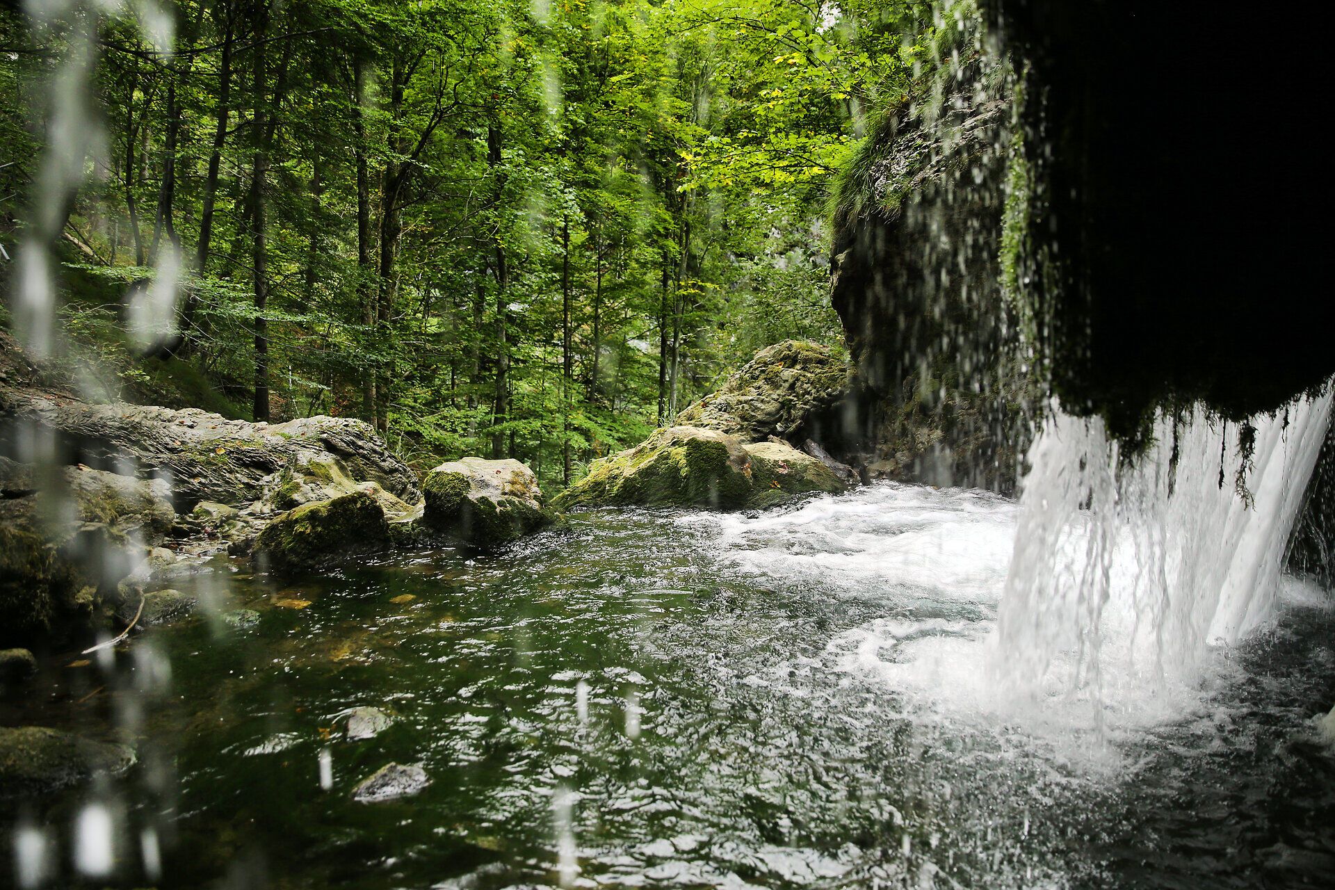 Ein versteckter Wasserfall plätschert sanft in einem idyllischen Wald, umgeben von üppigem Grün und dem beruhigenden Klang der Natur. Die klare, erfrischende Luft lädt Wanderer ein, die Schönheit dieser unberührten Landschaft zu genießen und sich in der friedlichen Atmosphäre zu verlieren.