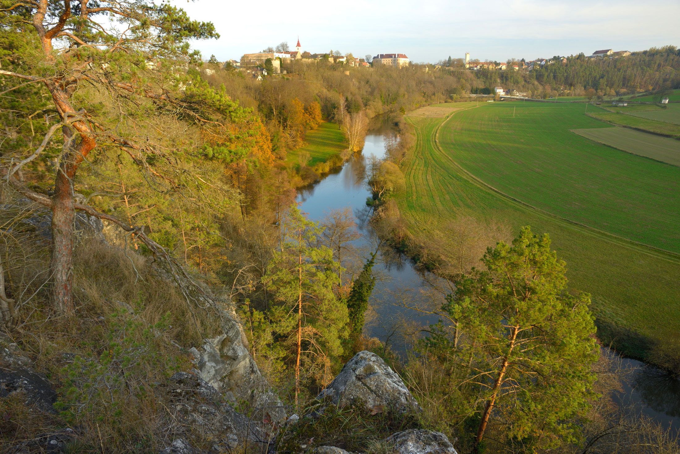 Blick auf einen Fluss, umgeben von Bäumen und Feldern, mit einer Stadt im Hintergrund.