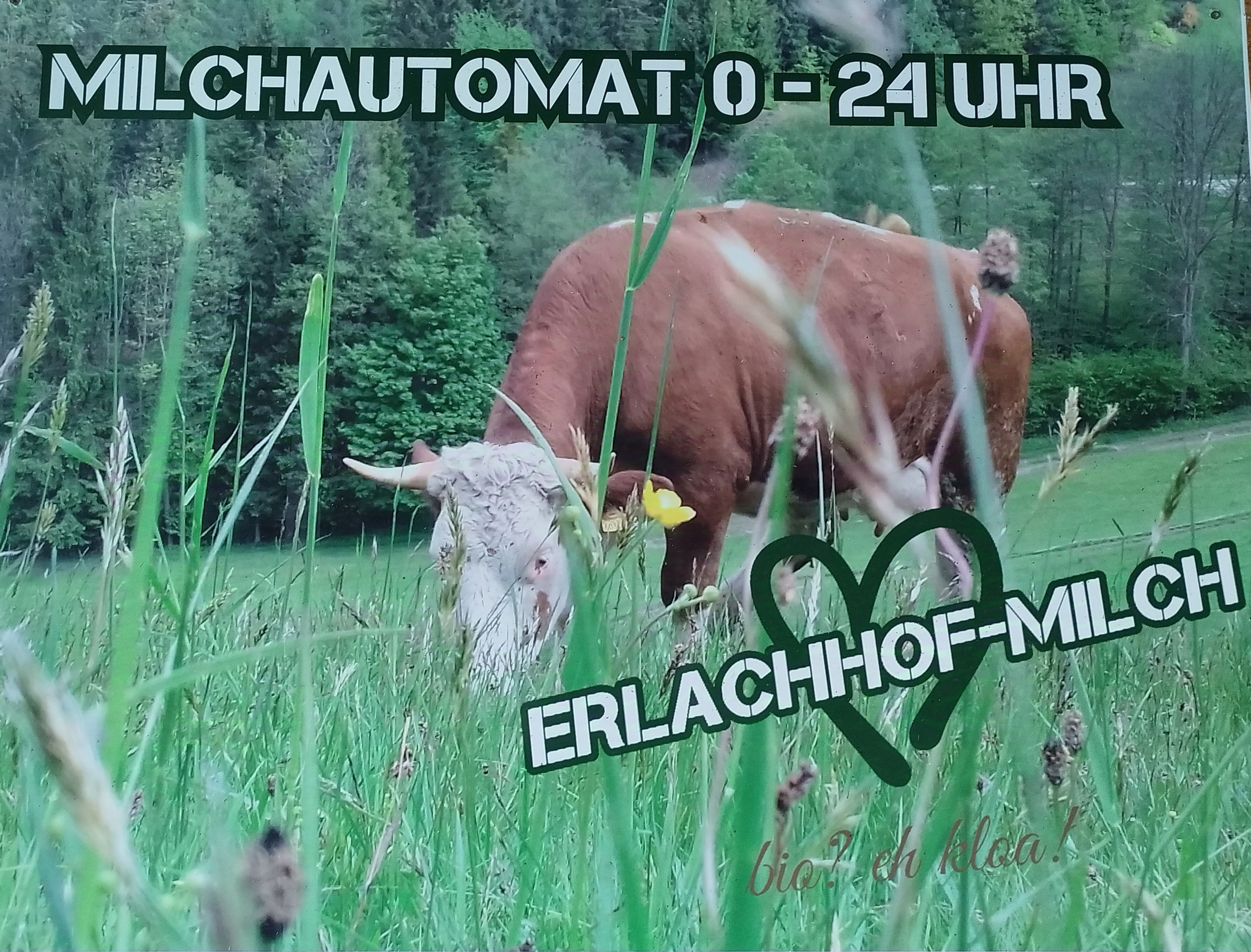 Eine Kuh auf einer Wiese mit Text zum Erlachhof