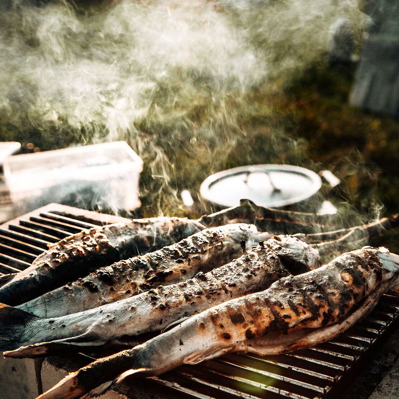 Die warmen Sonnenstrahlen tauchen den Birnengarten in ein goldenes Licht, während der verführerische Duft von frisch gegrilltem Fisch die Luft erfüllt. Hier, inmitten der Natur, erleben Besucher die perfekte Kombination aus kulinarischem Genuss und malerischer Landschaft.
