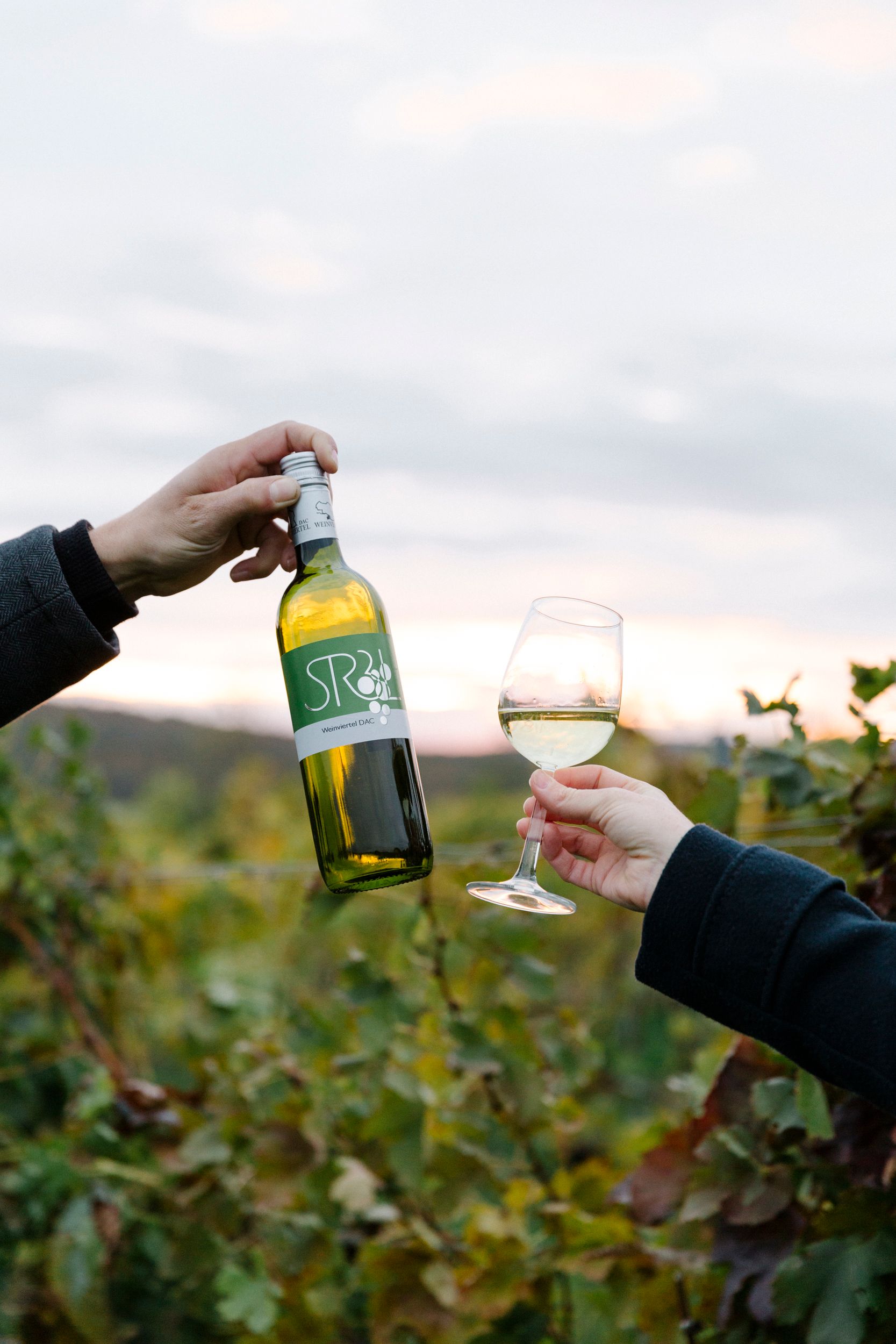 Zwei Hände halten eine Weinflasche und ein Glas Weißwein vor einem Weinberg.