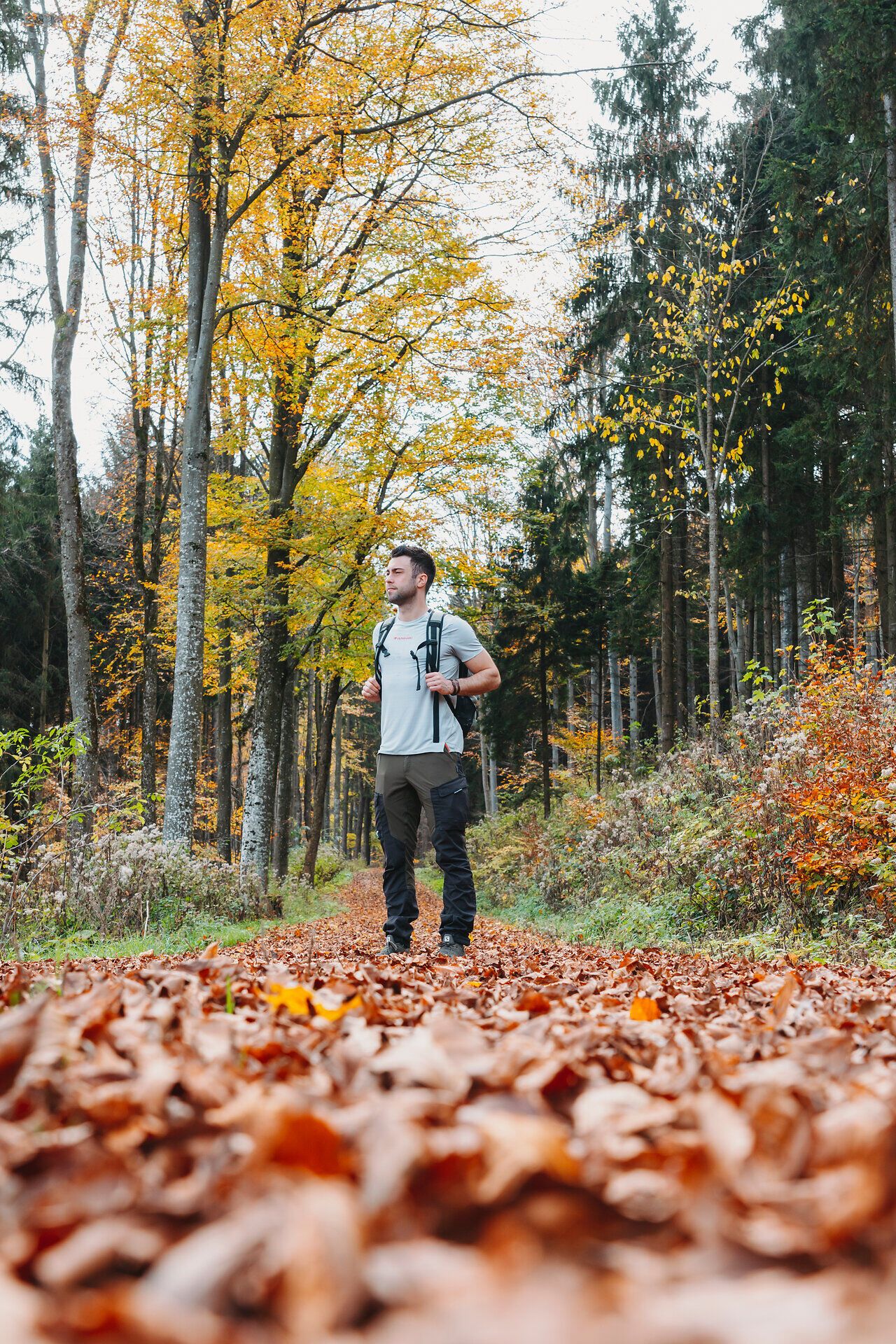 In der goldenen Herbstlandschaft des südlichen Waldviertels wandert ein Abenteurer durch ein Meer aus bunten Blättern. Die frische Luft und die sanften Sonnenstrahlen schaffen eine einladende Atmosphäre, die zum Verweilen einlädt. Umgeben von majestätischen Bäumen und der ruhigen Natur wird jeder Schritt zu einem unvergesslichen Erlebnis.
