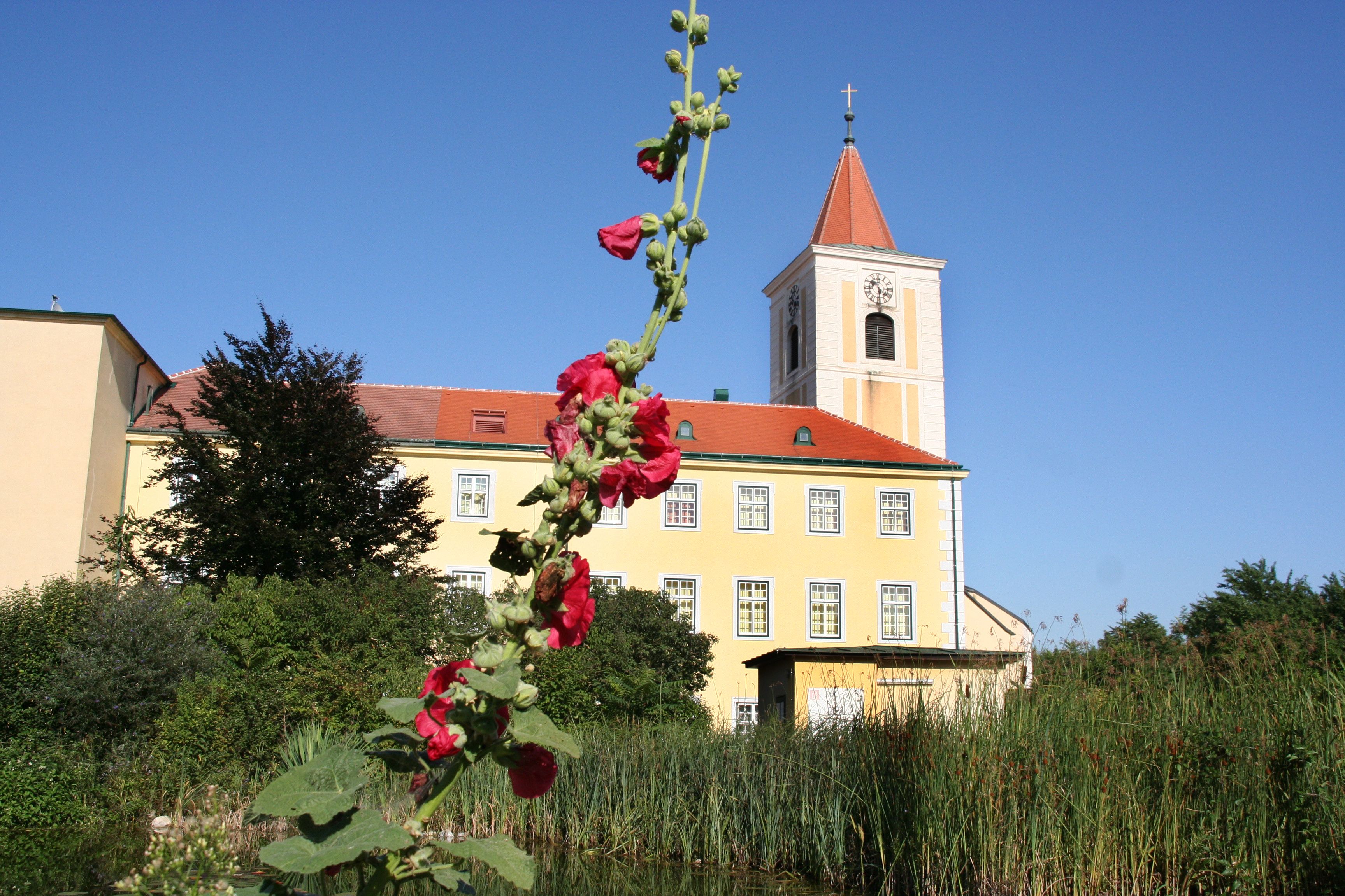 Pfarrkirche St. Andrä mit rotem Blumentrieb im Vordergrund.