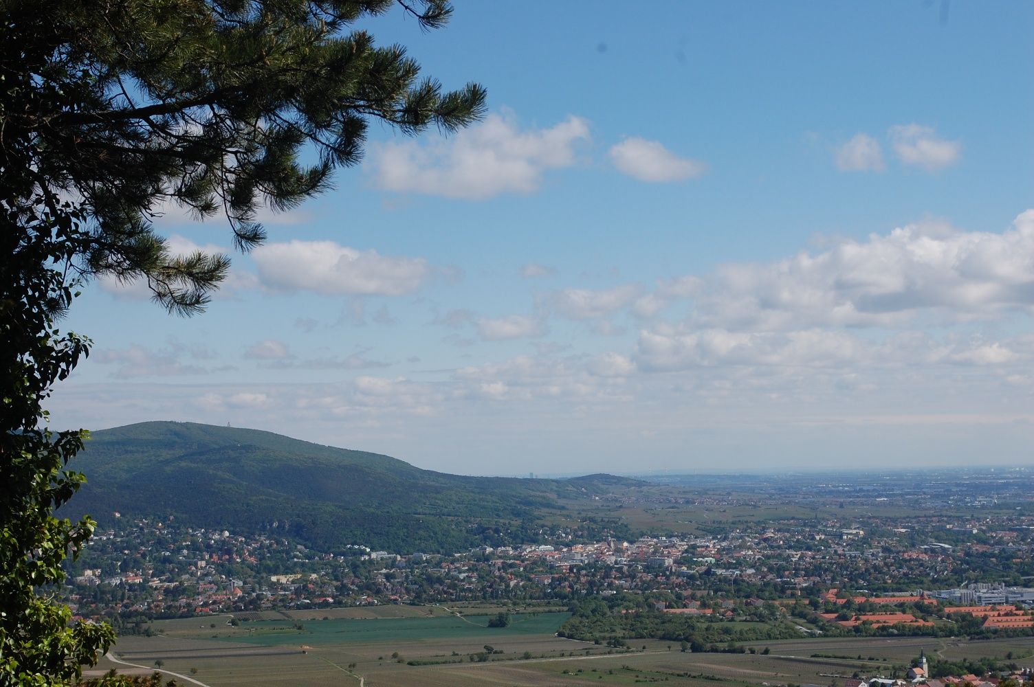 Aussicht vom Harzberg