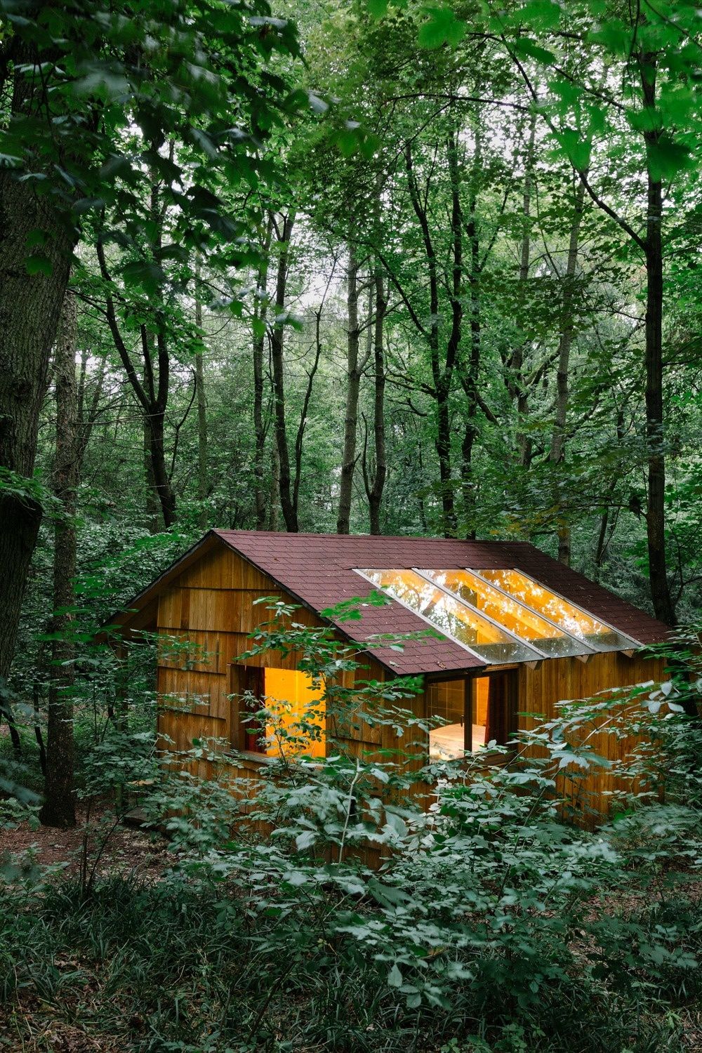 Waldhütte Ochys außen: kleine Holzhütte mit beleuchtetem Innenraum im dichten Wald, mit Dachfenstern und umgeben von viel Grün.