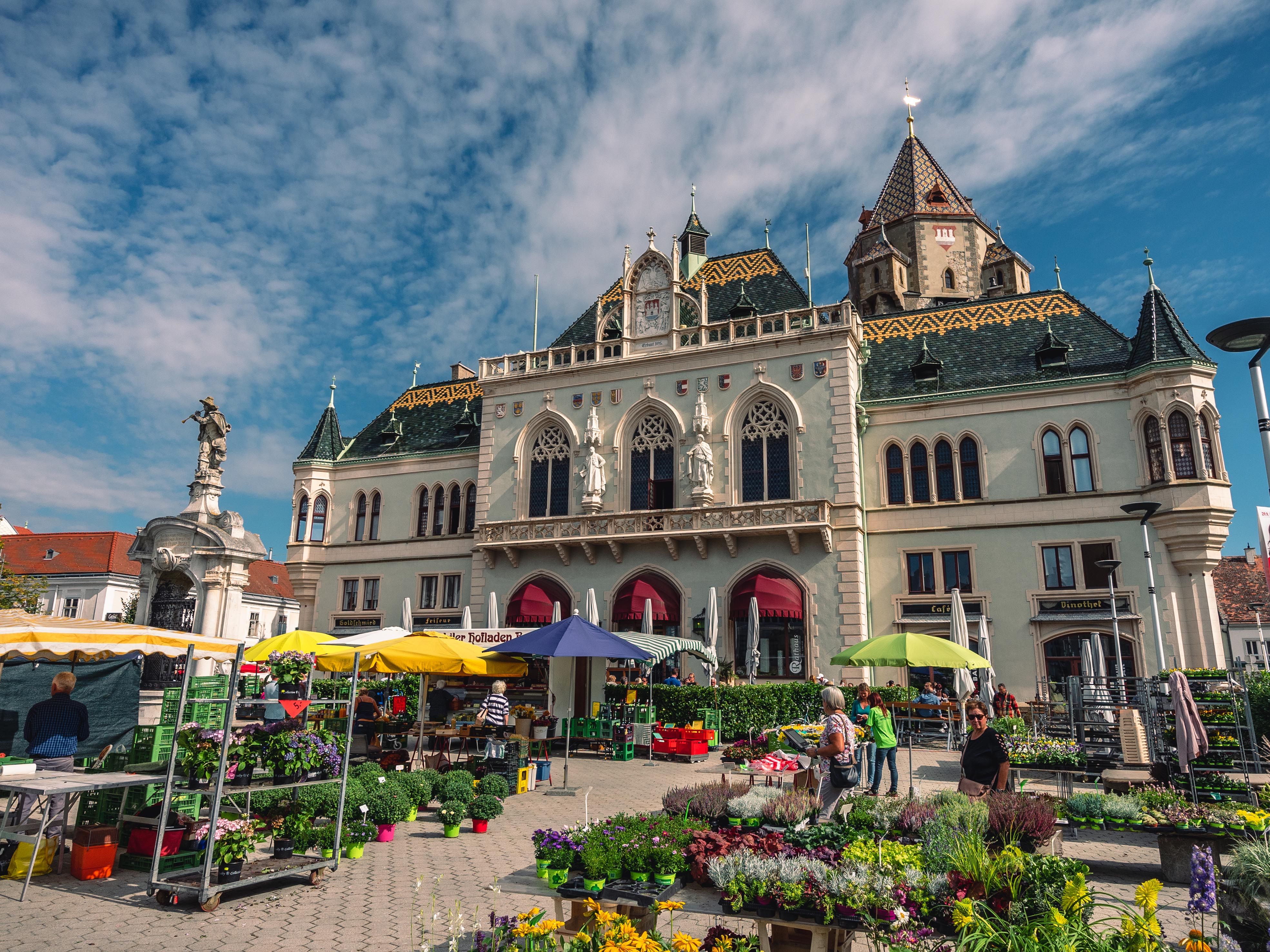 Wochenmarkt vor dem Rathaus in Korneuburg mit Blumenständen und Besuchern.