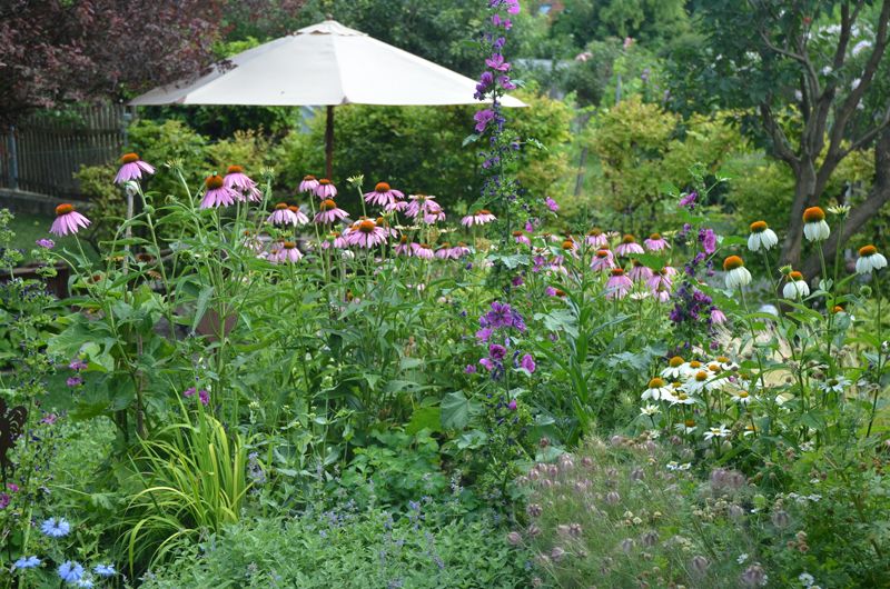 Ein blühender Garten mit bunten Blumen und einem Sonnenschirm im Hintergrund.