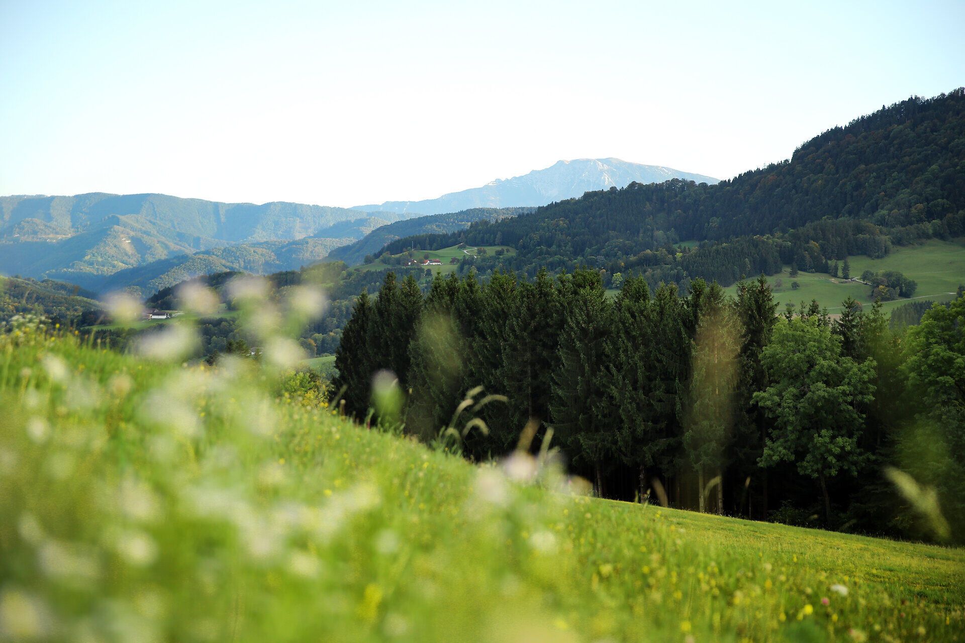 Die sanften Hügel und üppigen Wälder laden zu unvergesslichen Wanderungen ein. Hier, wo die Natur in voller Blüte steht, können Besucher die frische Bergluft genießen und die atemberaubenden Ausblicke auf die umliegenden Berge bewundern.