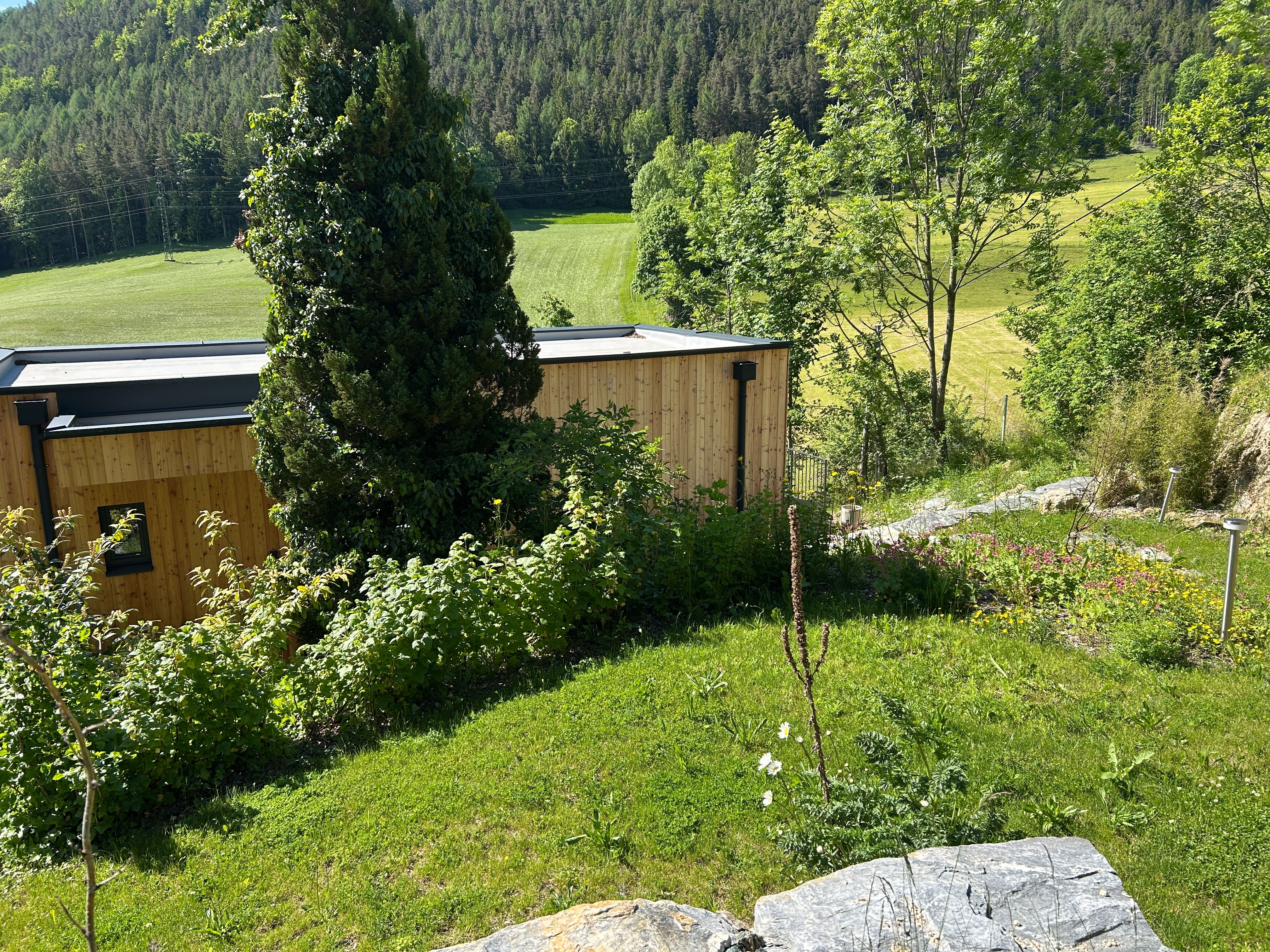 Ein modernes Holzhaus in einer grünen, hügeligen Landschaft mit Bäumen und Wiesen.