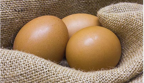 Bio Eier Hobl