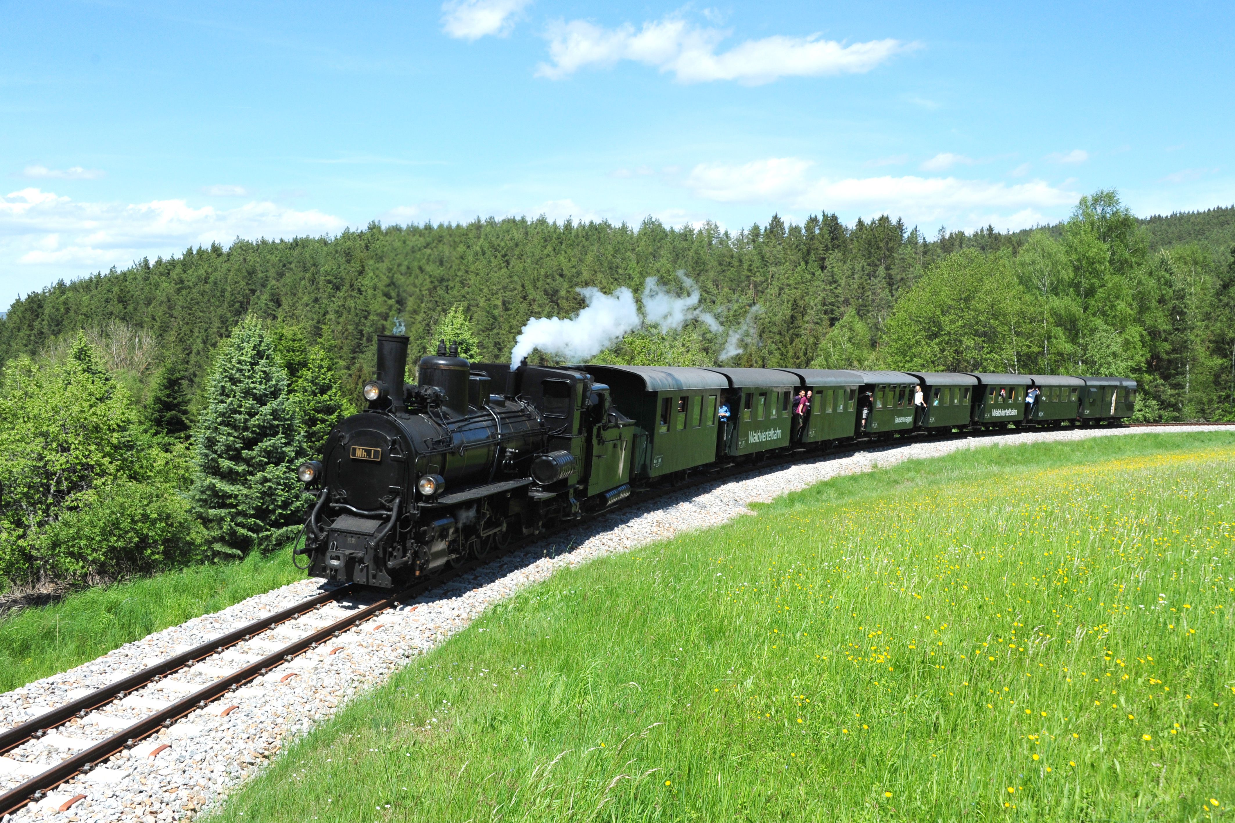 Eine historische Dampflokomotive zieht grüne Waggons der Waldviertelbahn durch eine grüne Landschaft mit Wiesen und Wäldern.