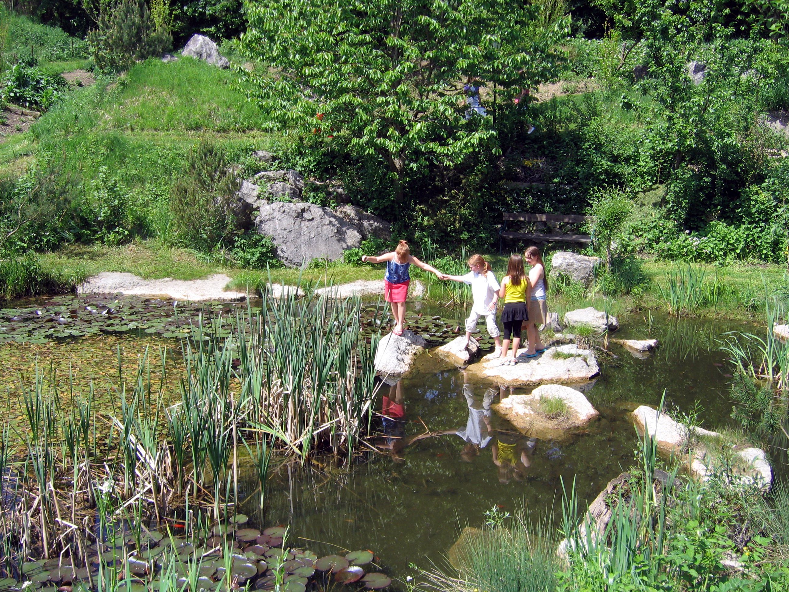 Kinder spielen an einem Teich im Grünen mit Seerosen und Schilf.