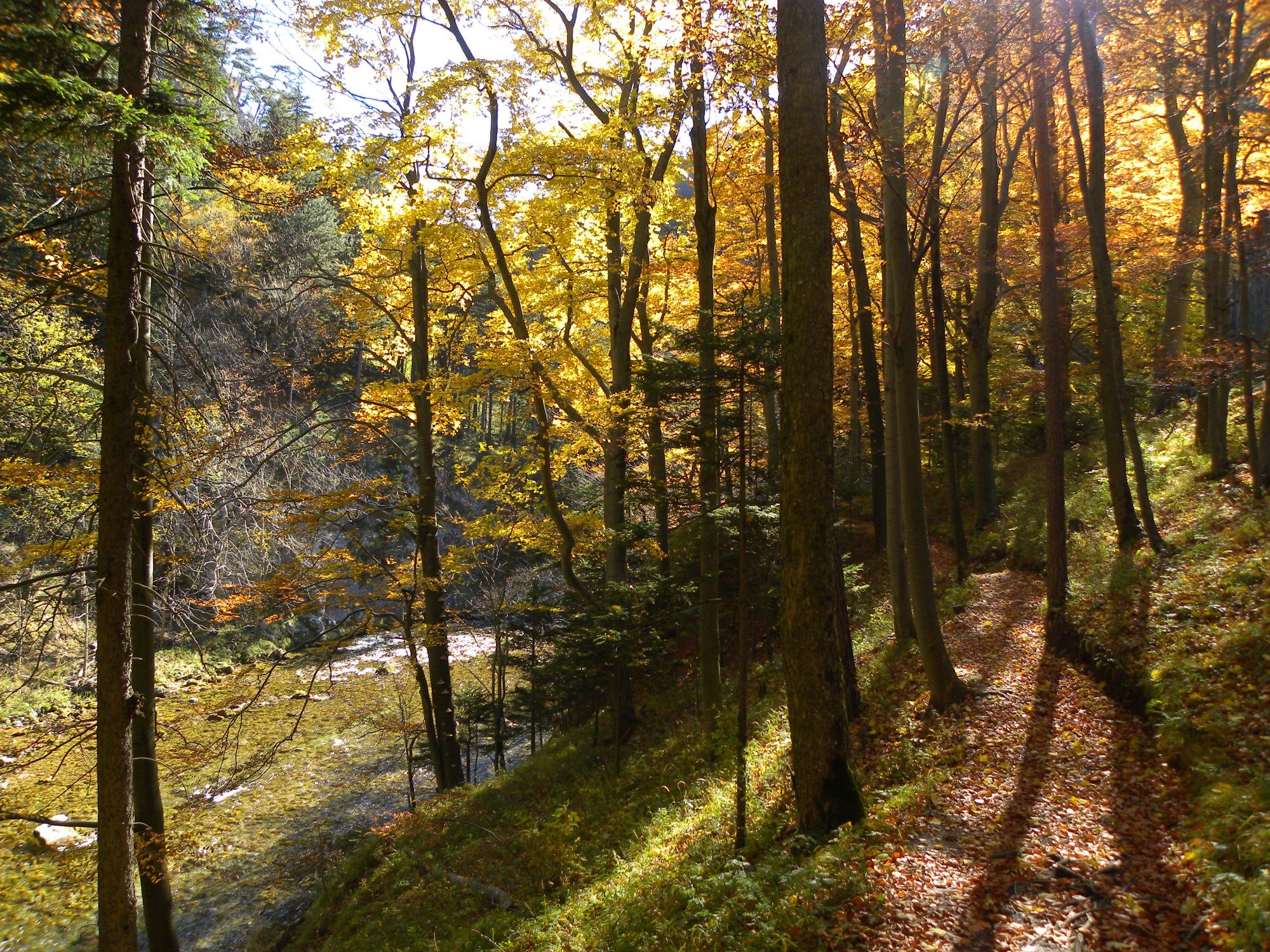 Wasserweg Höllental