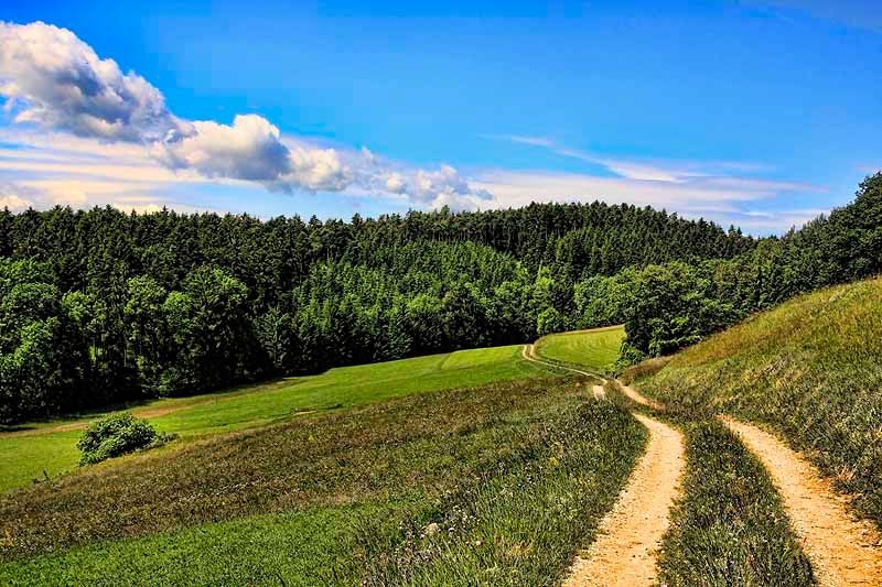 Landschaft am Jauerling