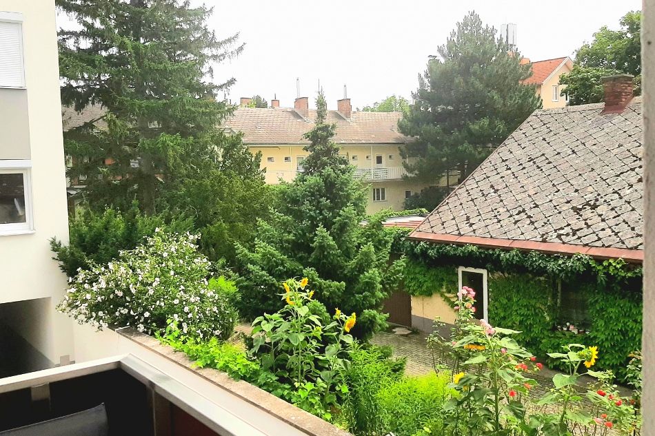 Ausblick vom Balkon 