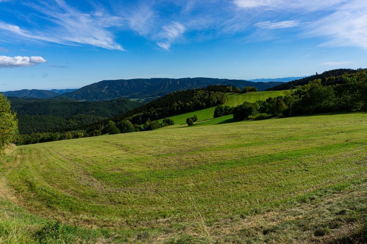 Blick zum Jauerling