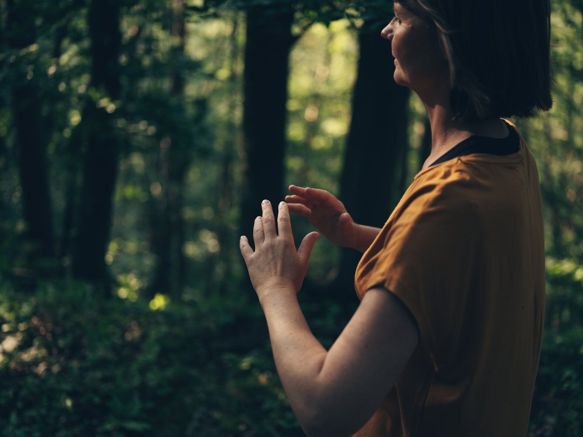 Inmitten des dichten Waldes strahlt die Ruhe der Natur. Die sanften Lichtstrahlen durchdringen das Blätterdach und schaffen eine harmonische Atmosphäre, die zum Entspannen einlädt. Hier kann man die Seele baumeln lassen und die frische Luft genießen.