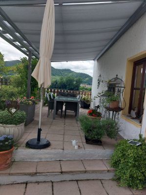 Überdachte Terrasse mit Tisch, Stühlen und Pflanzen in Töpfen, umgeben von grüner Landschaft.