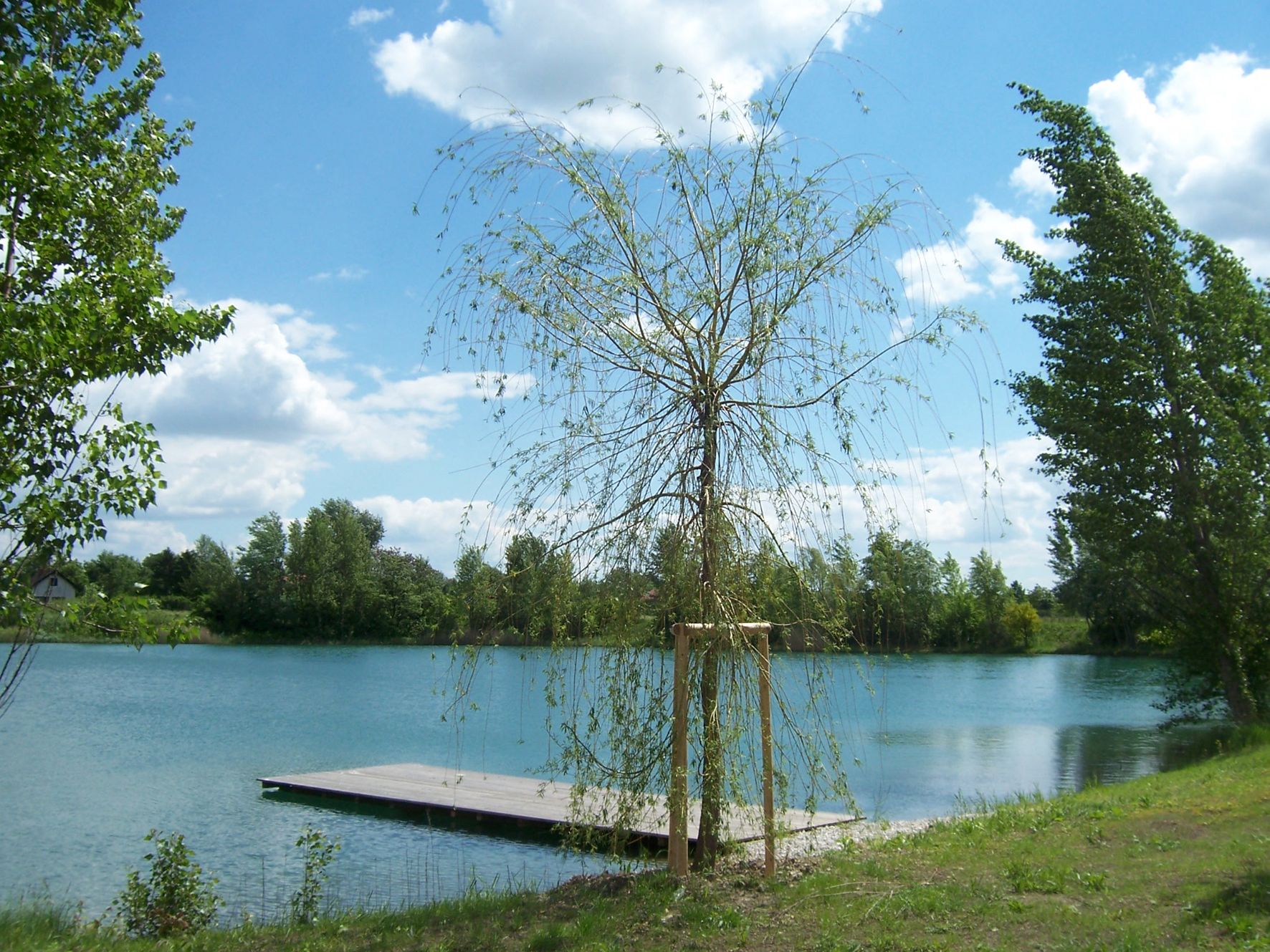 Ein kleiner Steg an einem See mit Bäumen und blauem Himmel im Hintergrund.