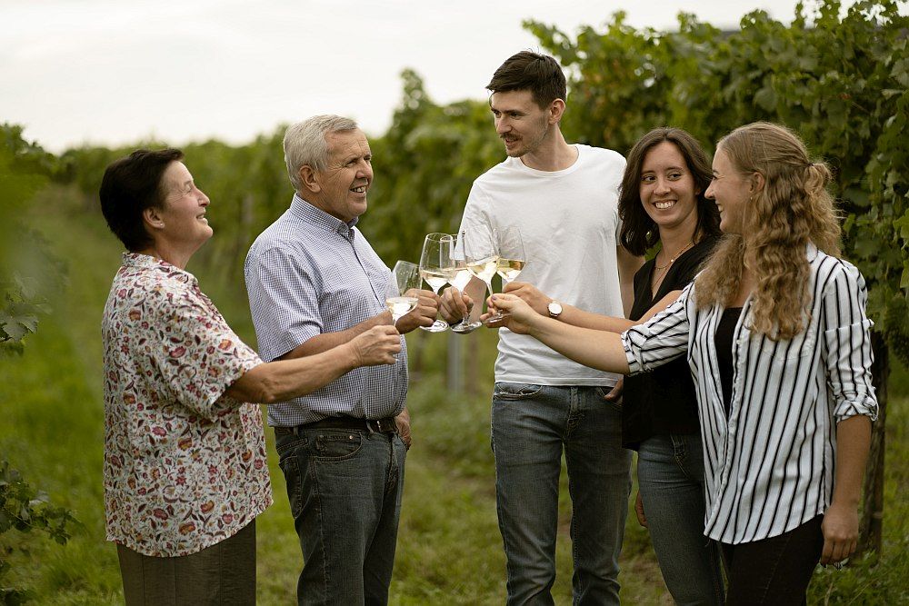 Fünf Personen stoßen mit Weingläsern in einem Weinberg an.