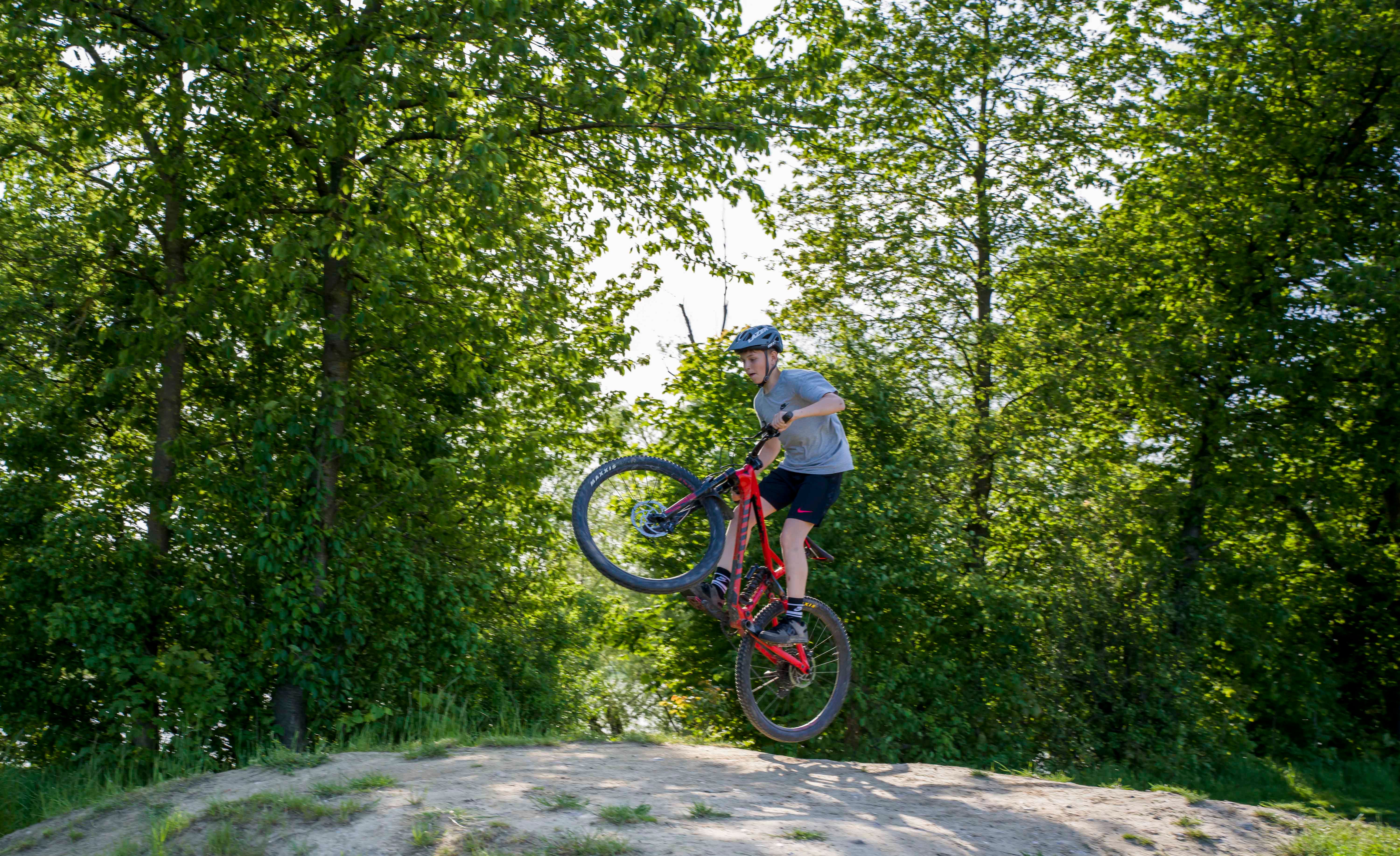 Person auf einem Mountainbike macht einen Sprung in einem Waldgebiet.