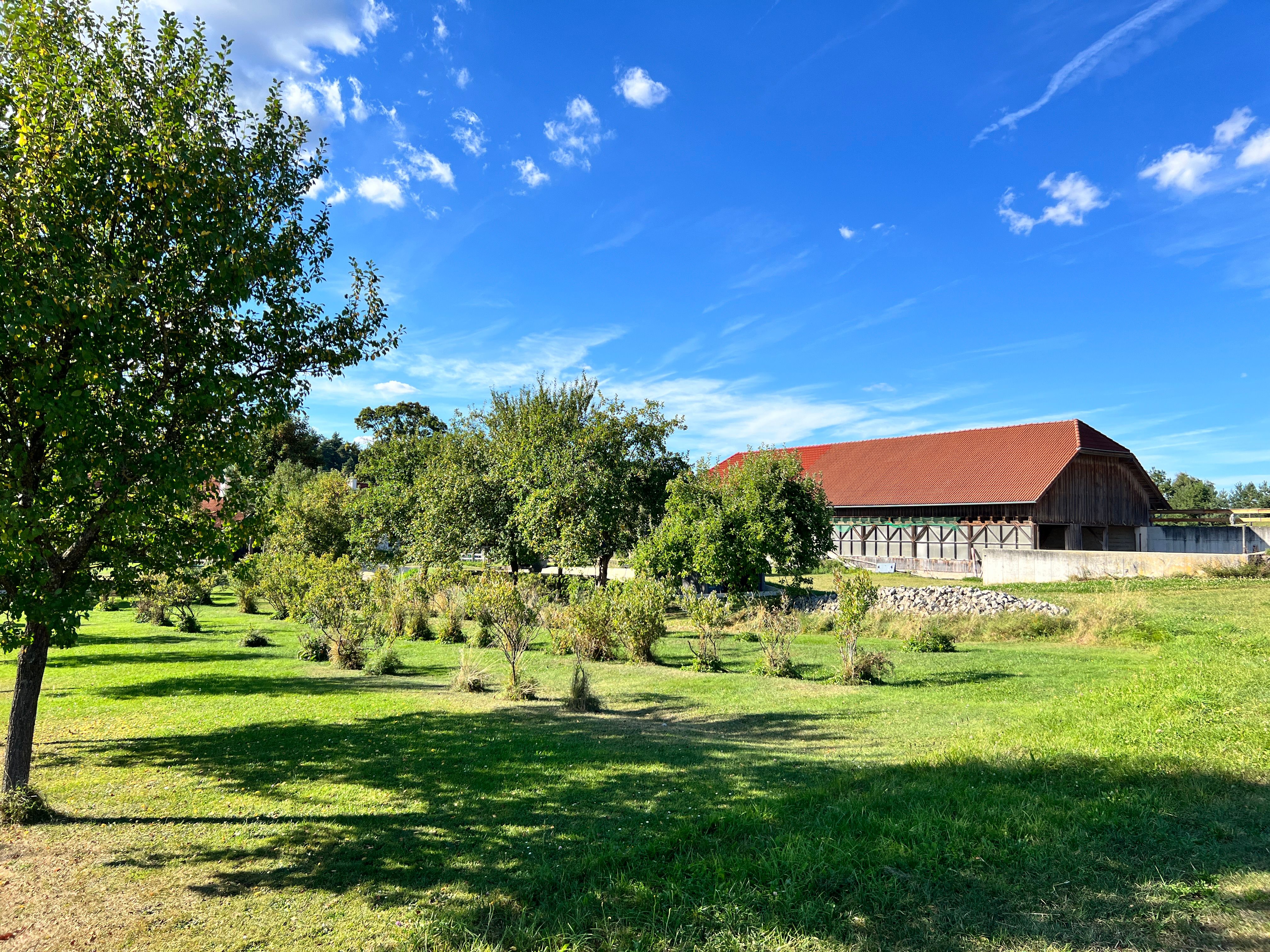 Obstgarten