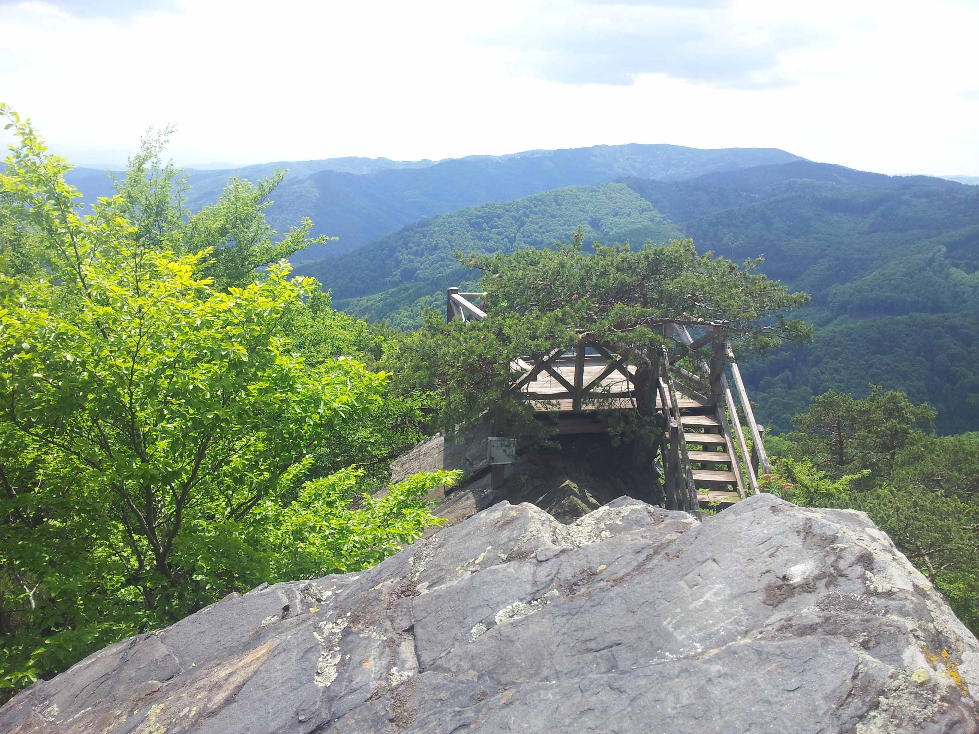 Aussichtsplattform in bewaldeter Berglandschaft.