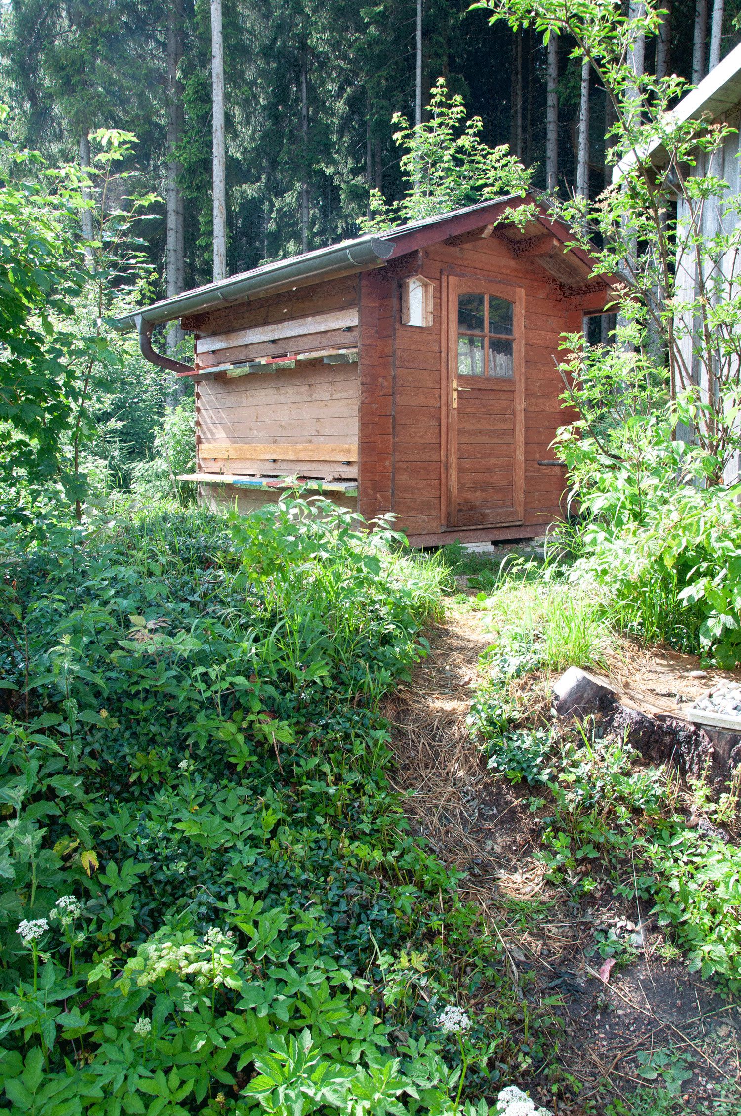 Ferienhaus Böhm, Bienen