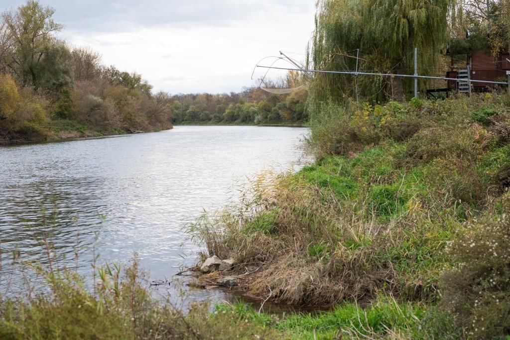 Flusslandschaft mit Bäumen und grünem Ufer.