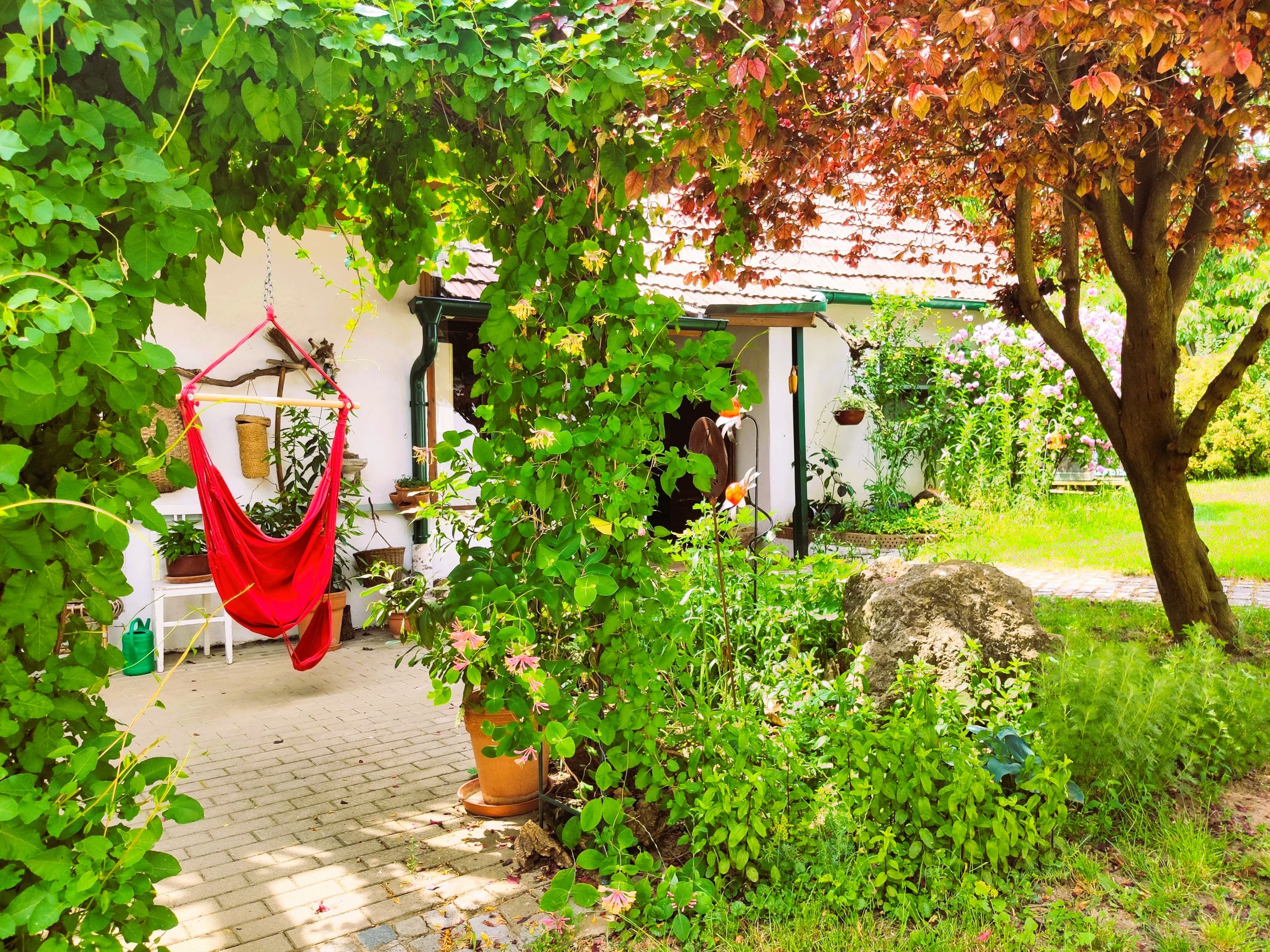 Ein grüner Innenhof mit Hängesessel, Pflanzen und Bäumen.