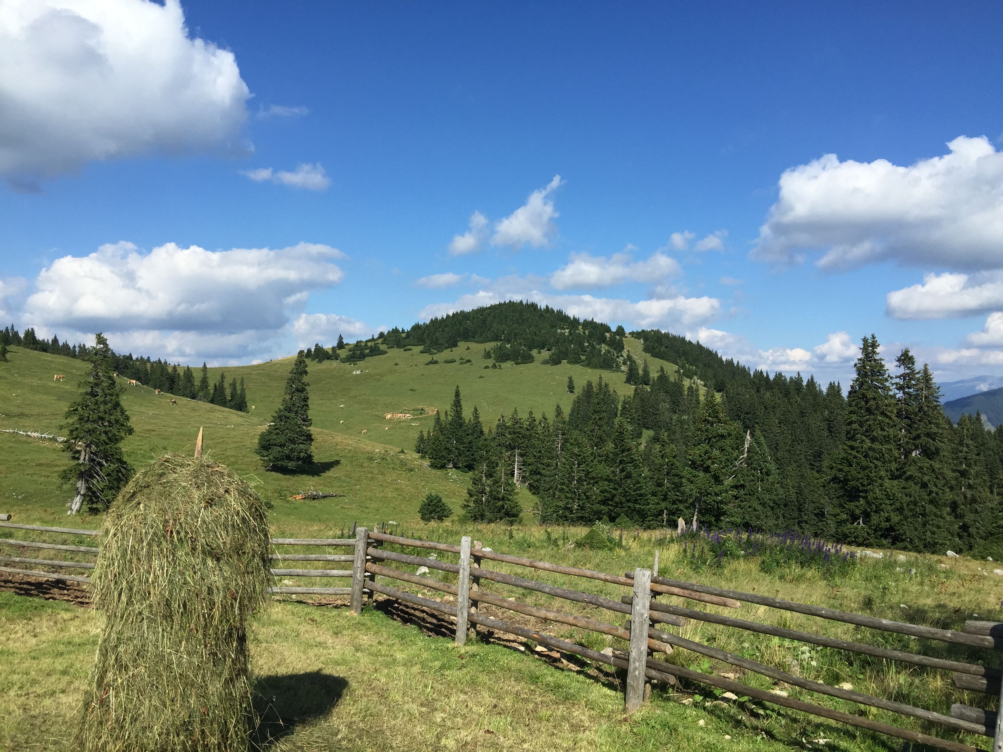 Umgebung St. Aegyd am Neuwalde