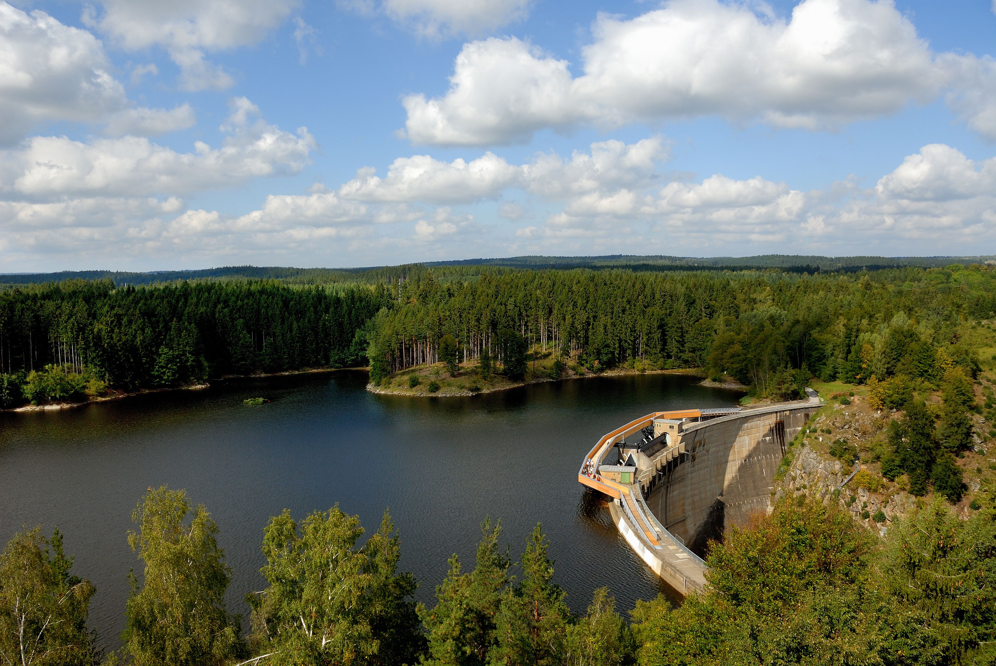 Landschaft mit Staudamm und Wald im Hintergrund.