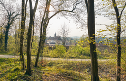 Sanfte Lichtstrahlen durchdringen das Blätterdach und tauchen die Umgebung in ein warmes, goldenes Licht. Die frische, klare Luft und das sanfte Rascheln der Blätter laden dazu ein, die Ruhe der Natur zu genießen und die Schönheit des Wienerwaldes zu erkunden.