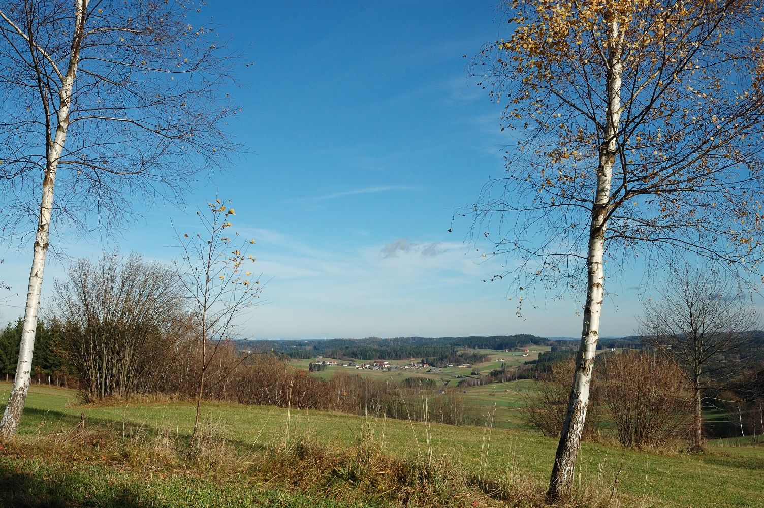 Wanderweg-Hochberg